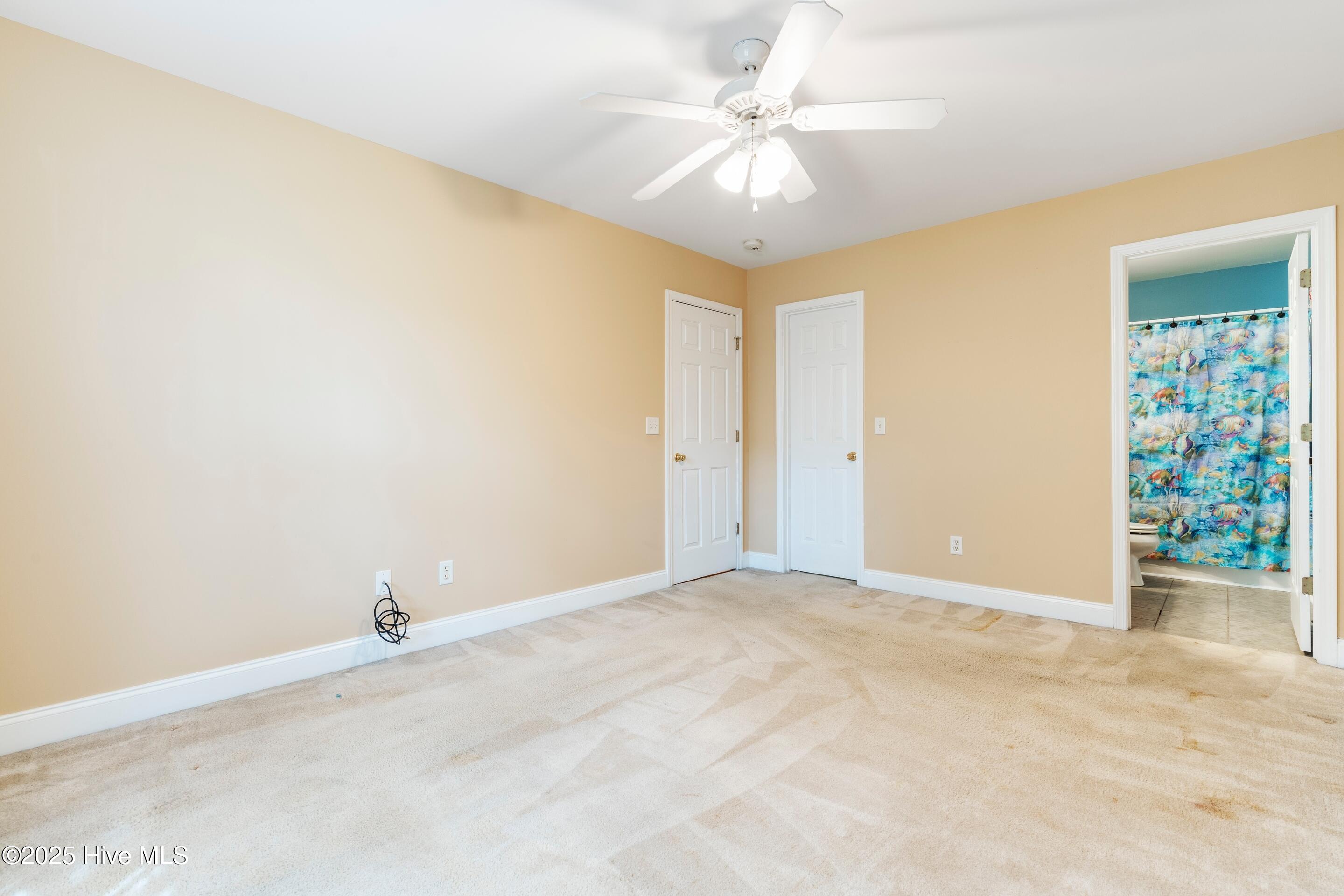 100522418 | Photo 29