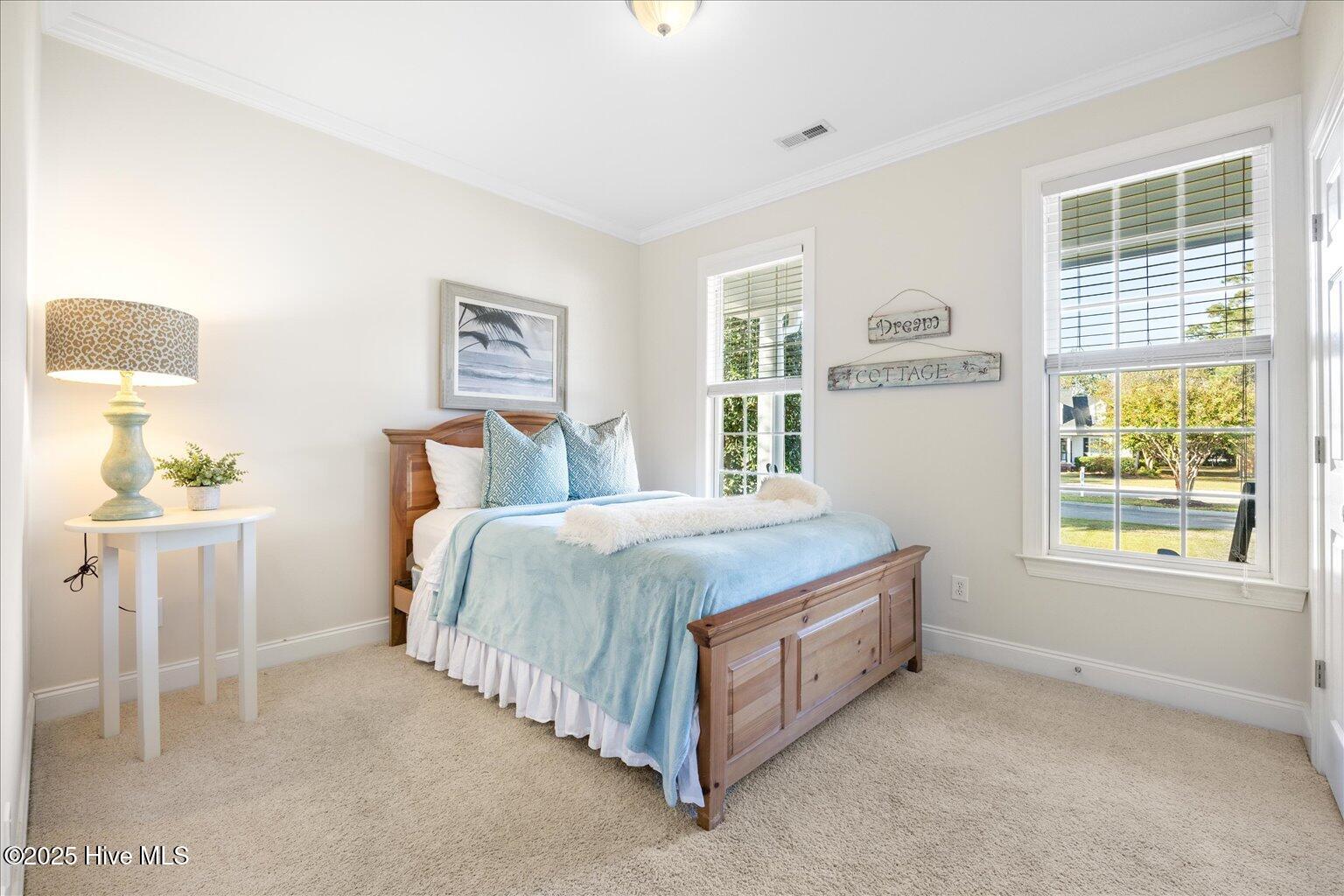 100532756 | Photo 23