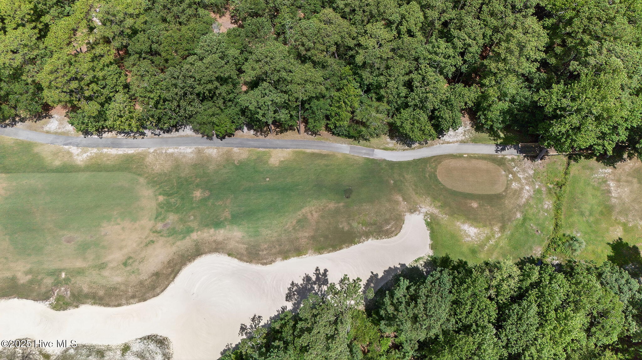 100519533 | Photo 25