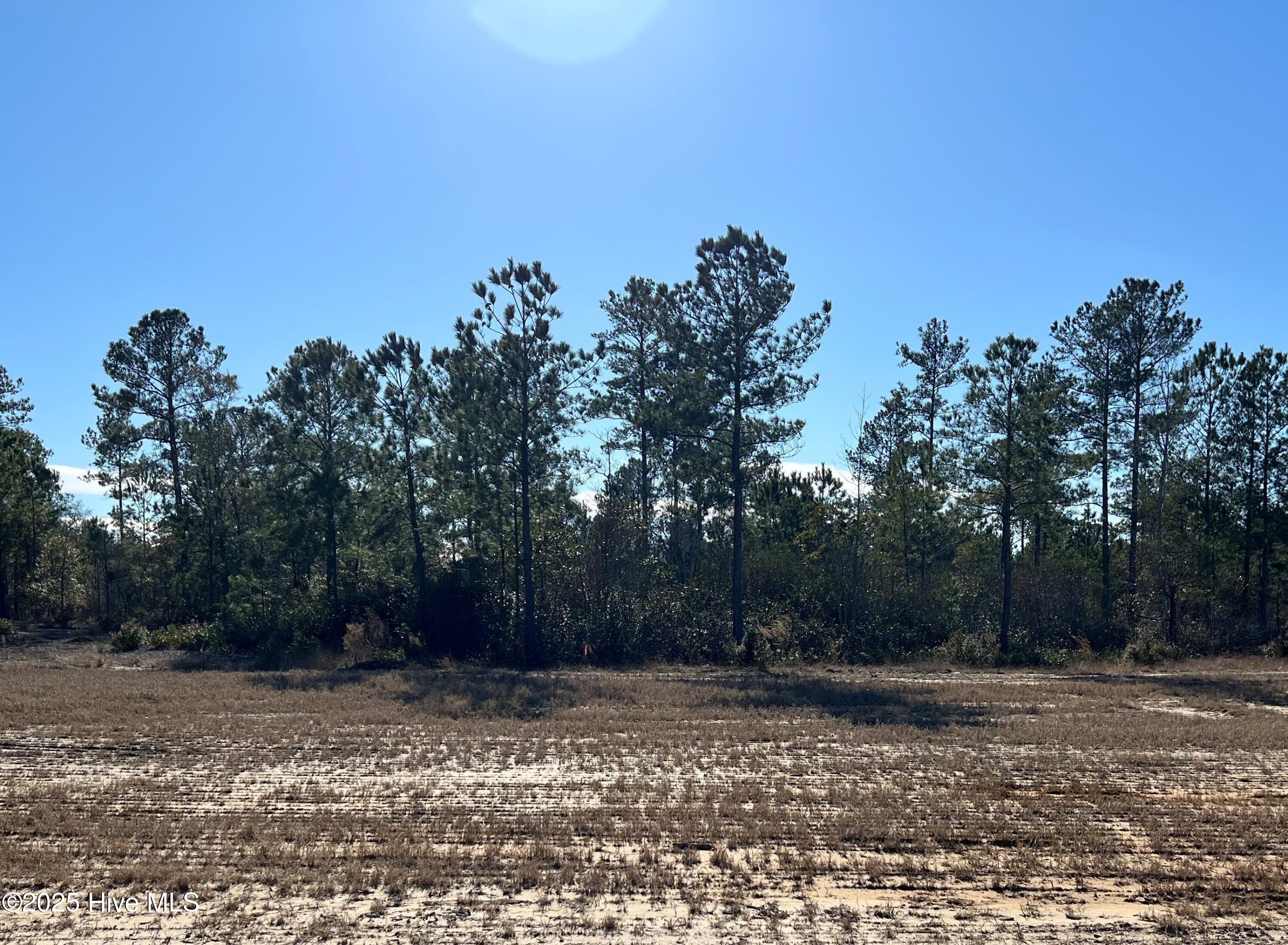 2940 68 W Timber Crest Lane NE photo