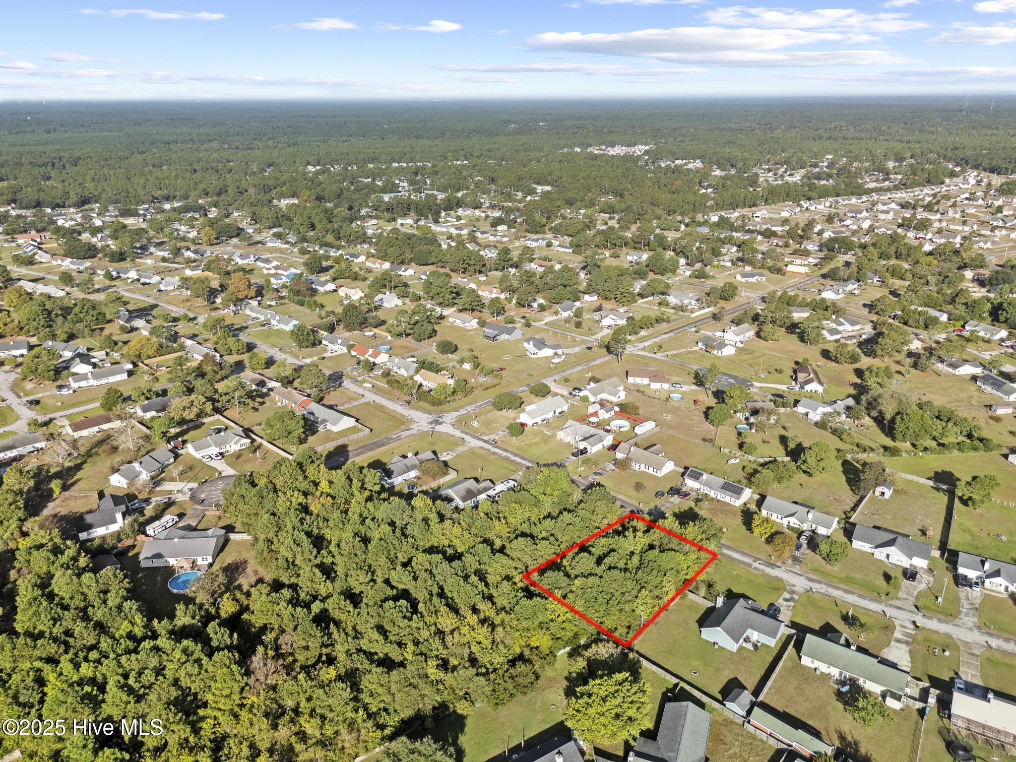 100534840 | Photo 13