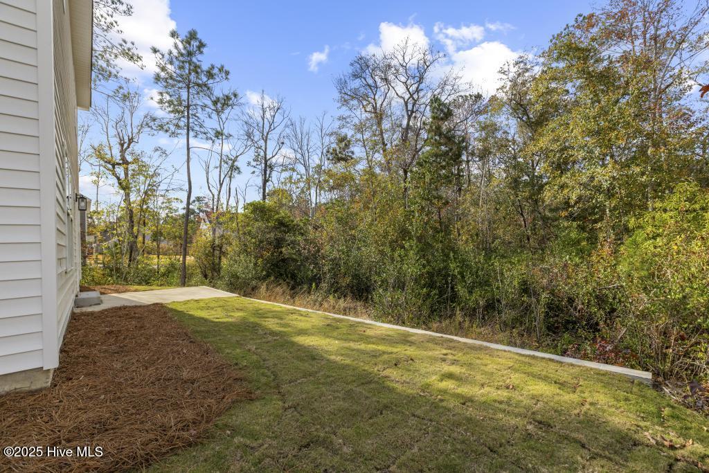 100516155 | Photo 33