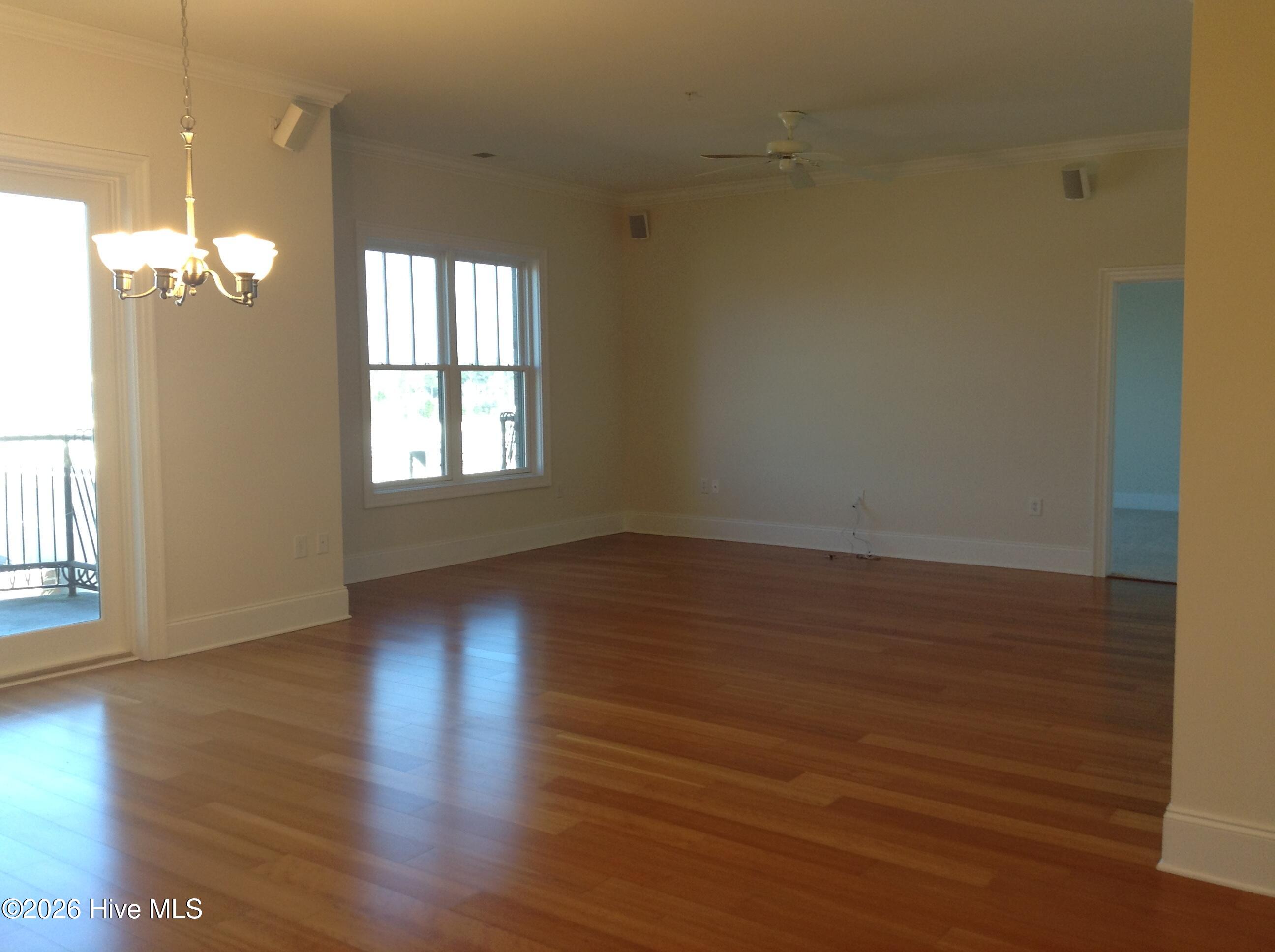 100553173 | Photo 22