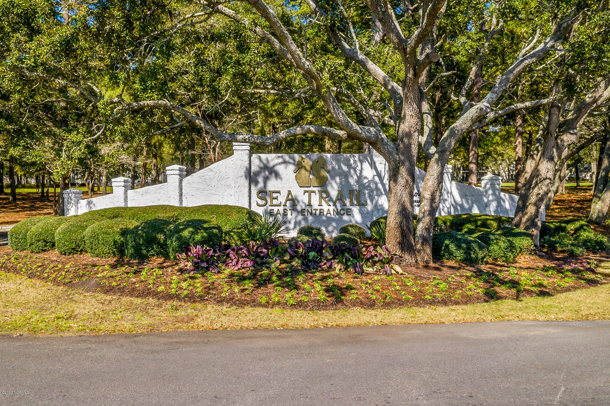 100205829 | Photo 12