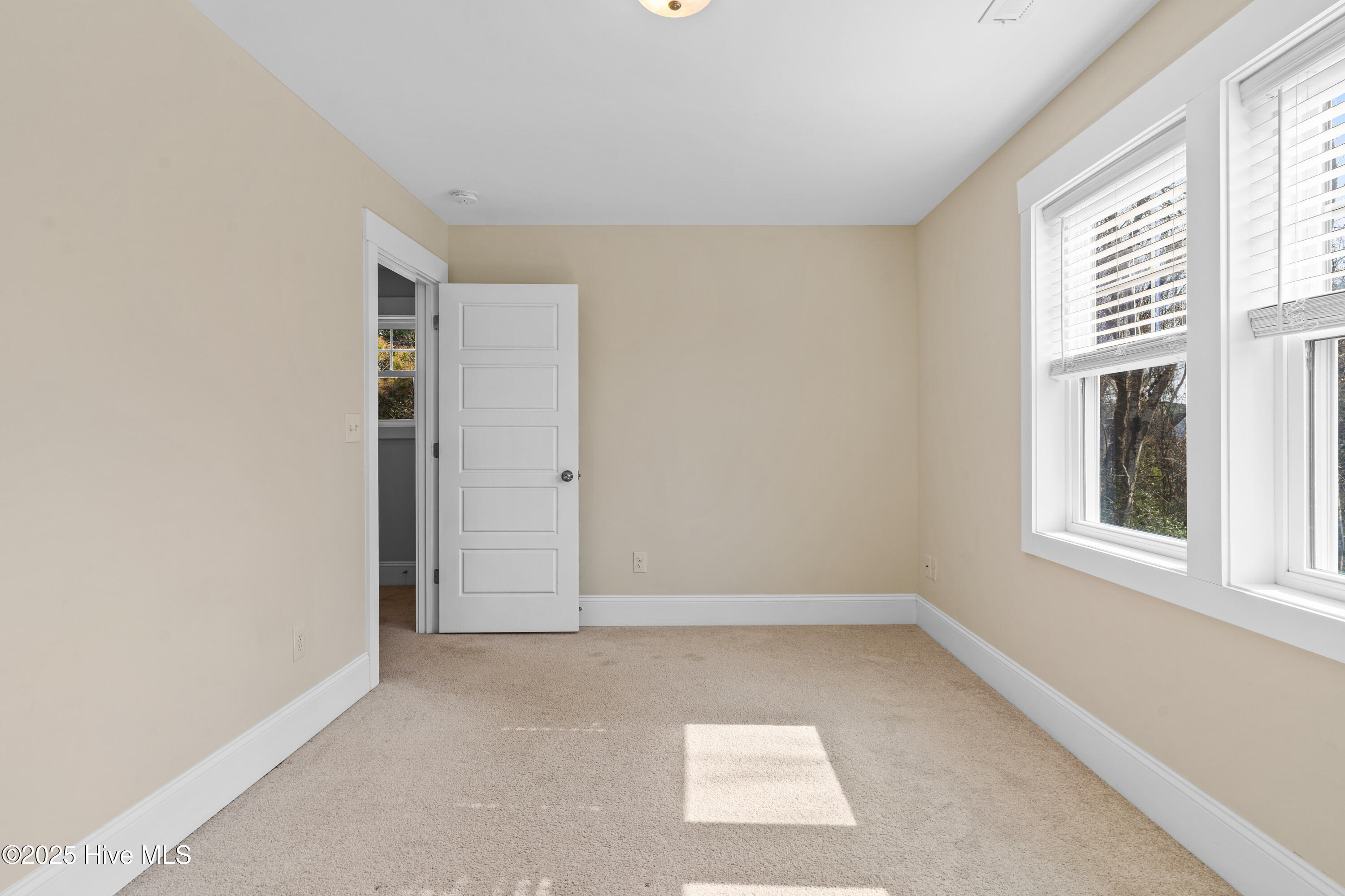 100529513 | Photo 39