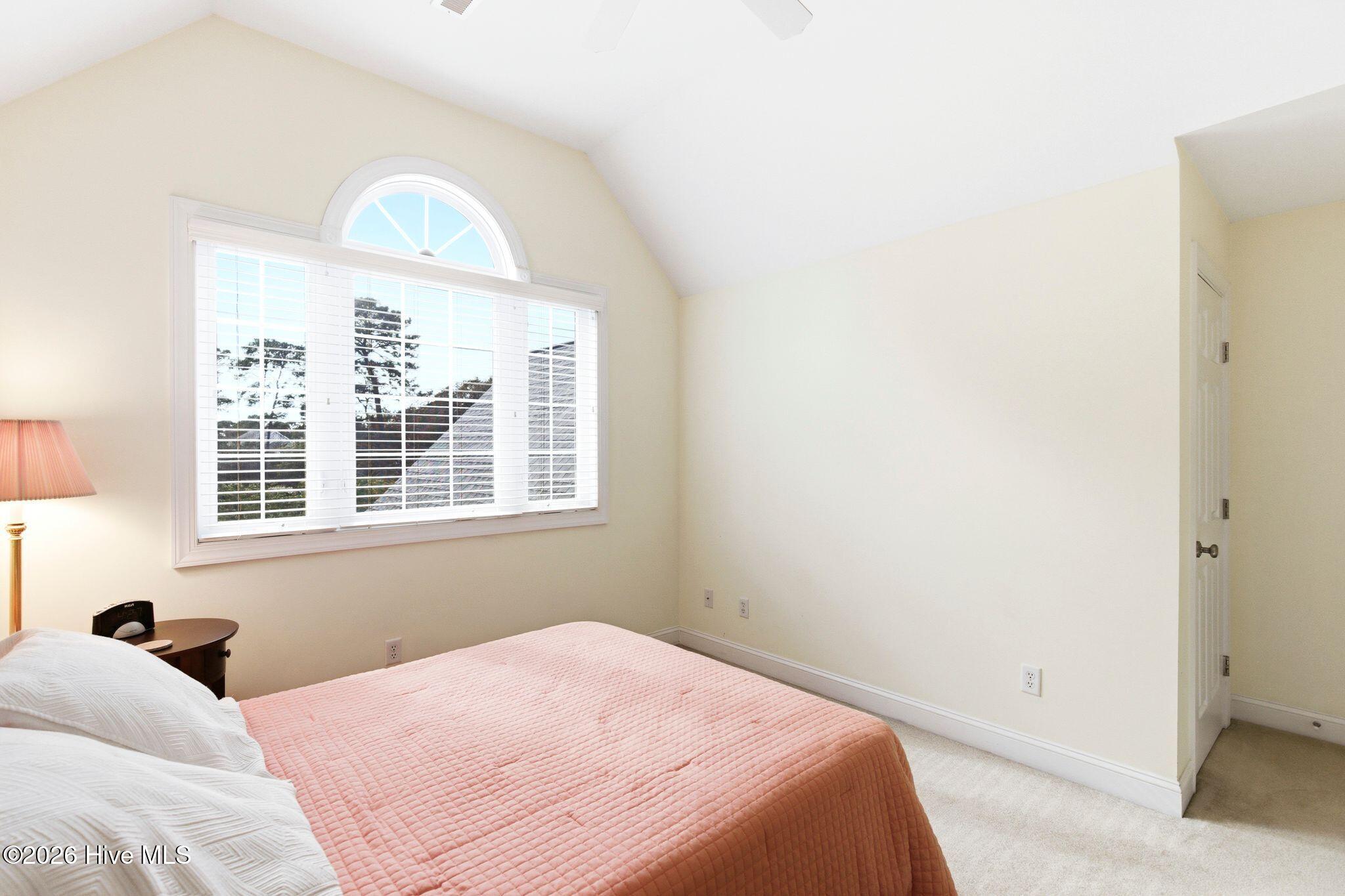 100564231 | Photo 43