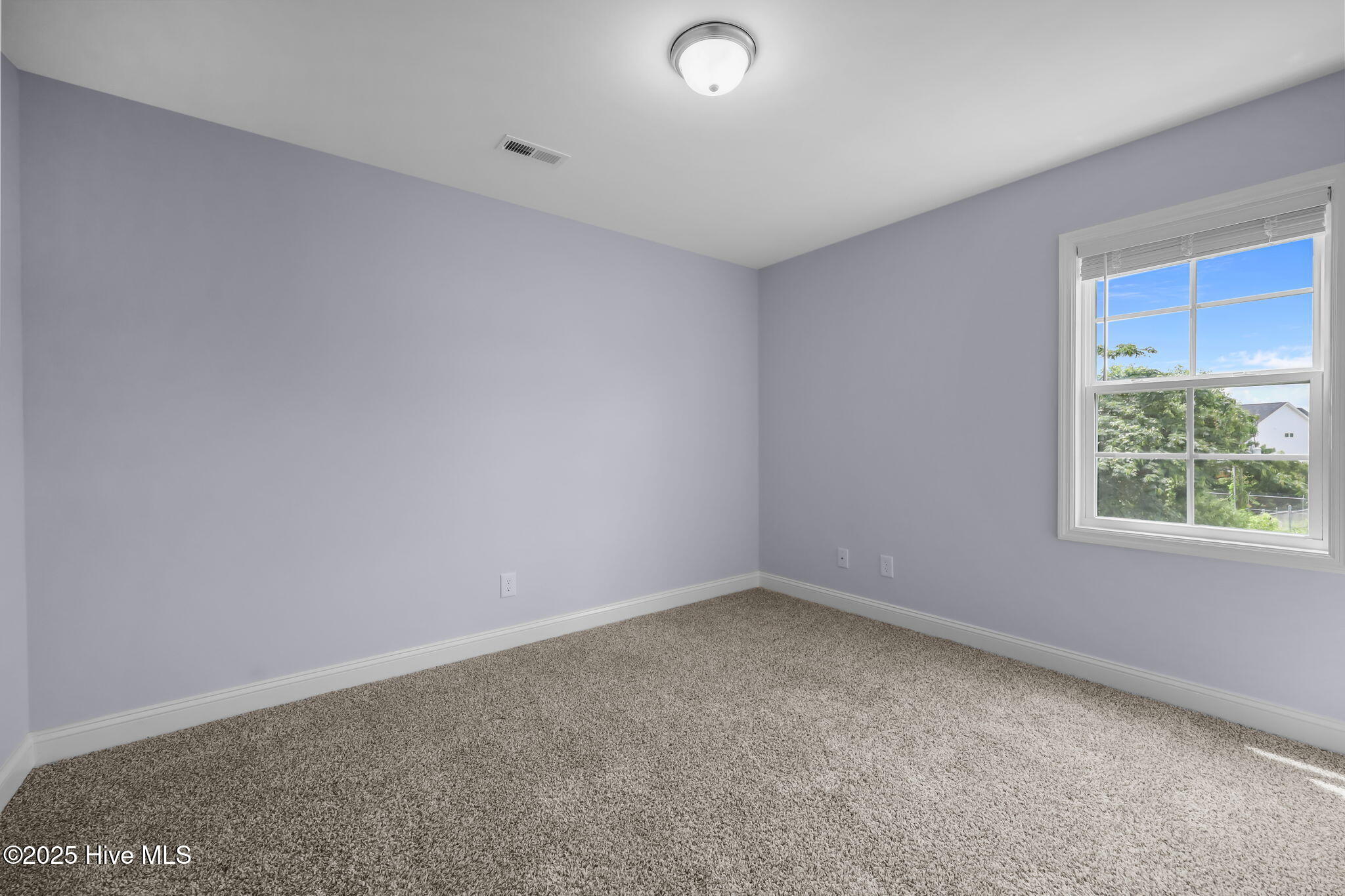 100519667 | Photo 24