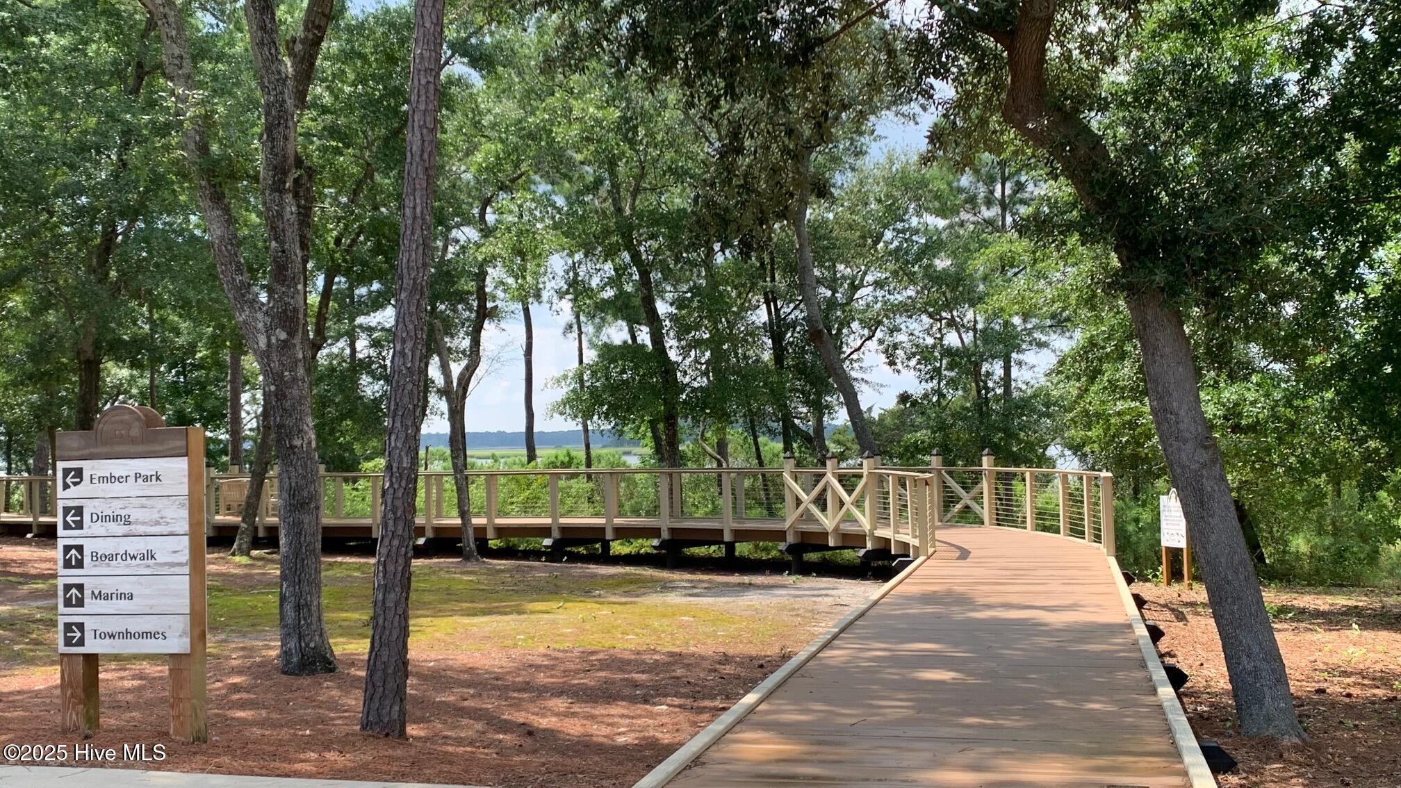 100524366 | Photo 88