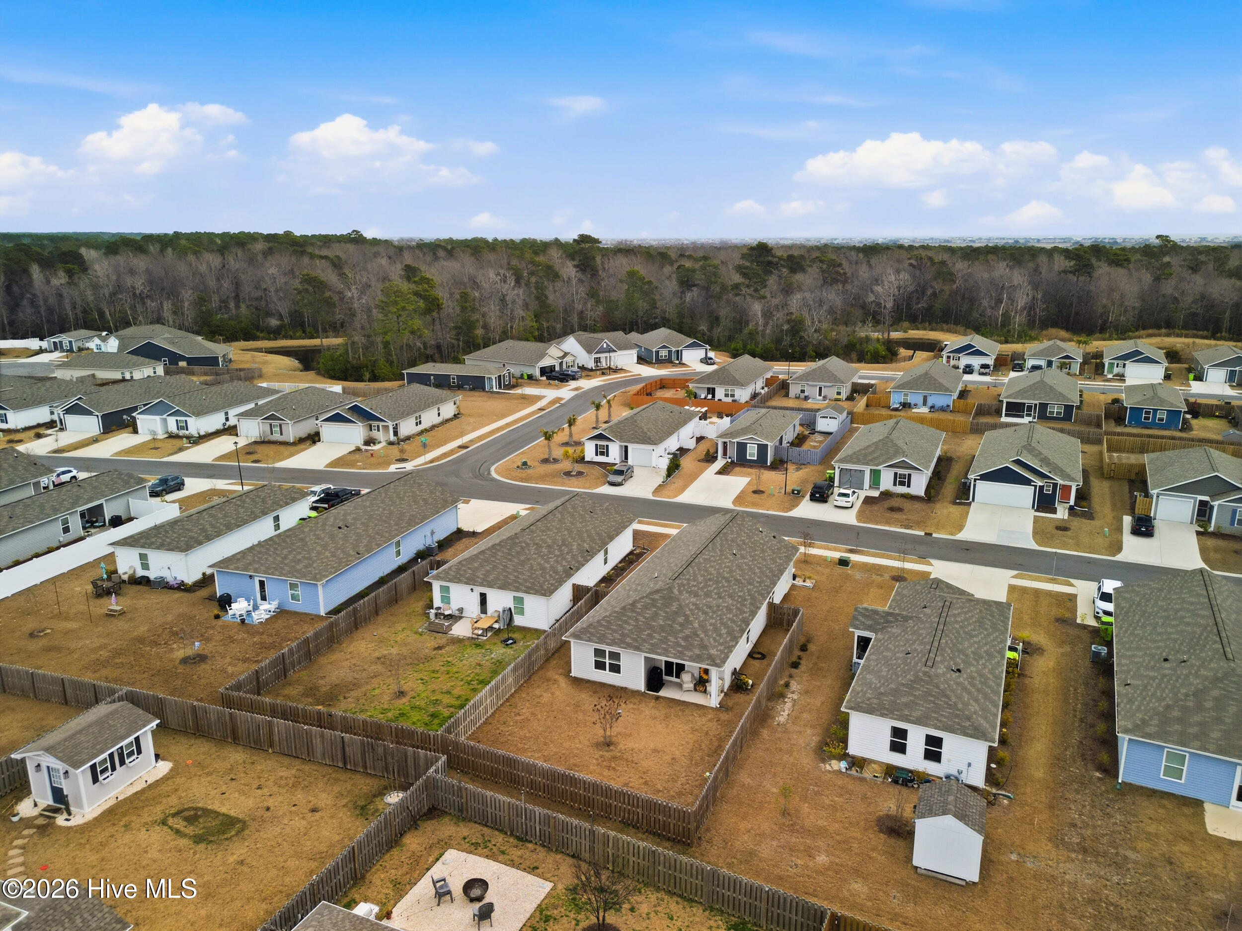 100555979 | Photo 53