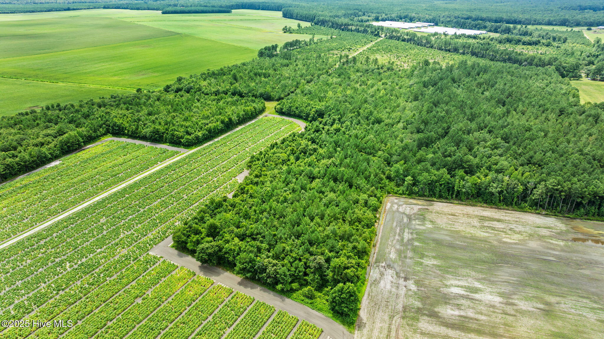 0 Green Sea Road, Garland, NC, 28441