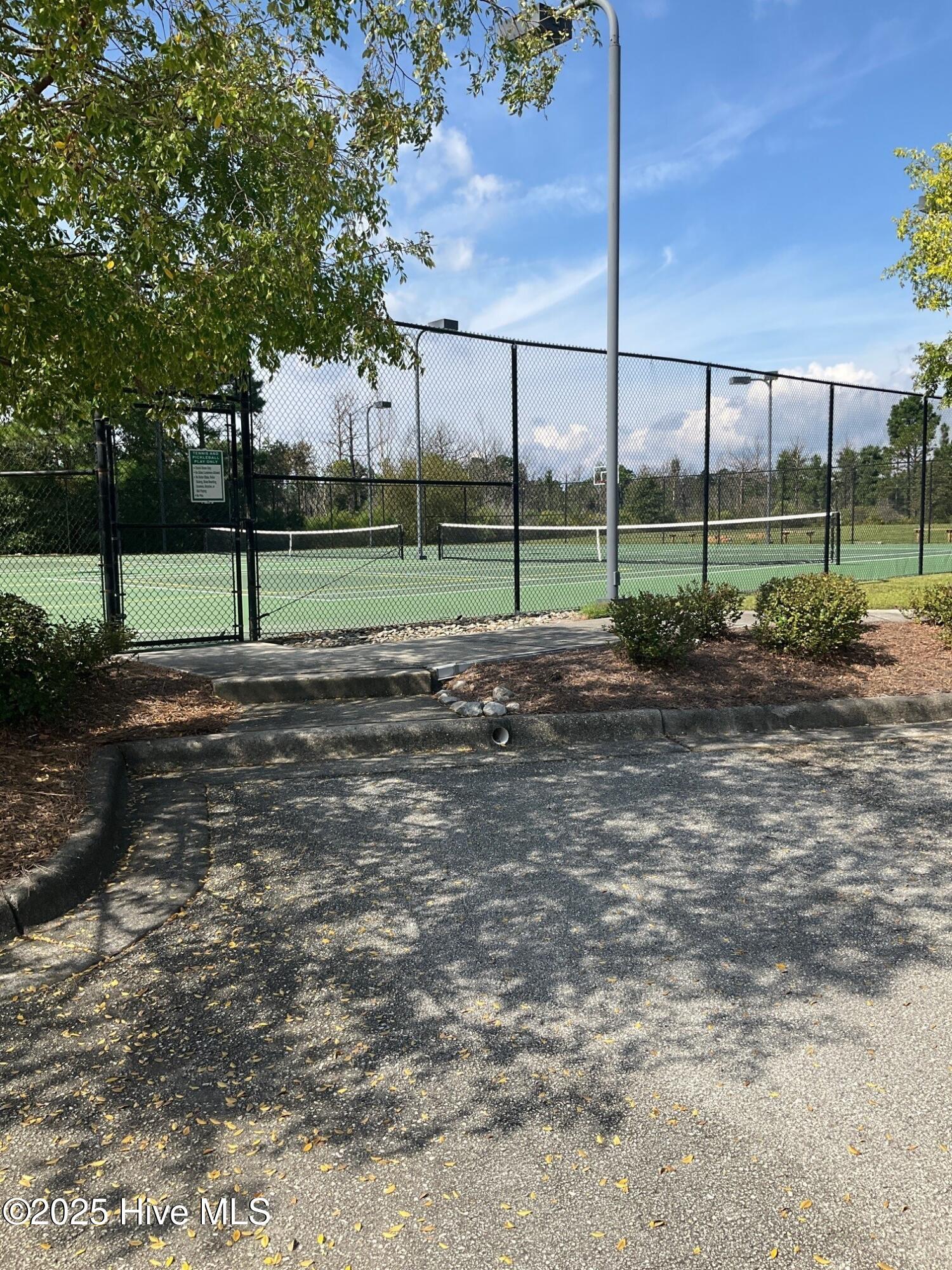 100529934 | Photo 44