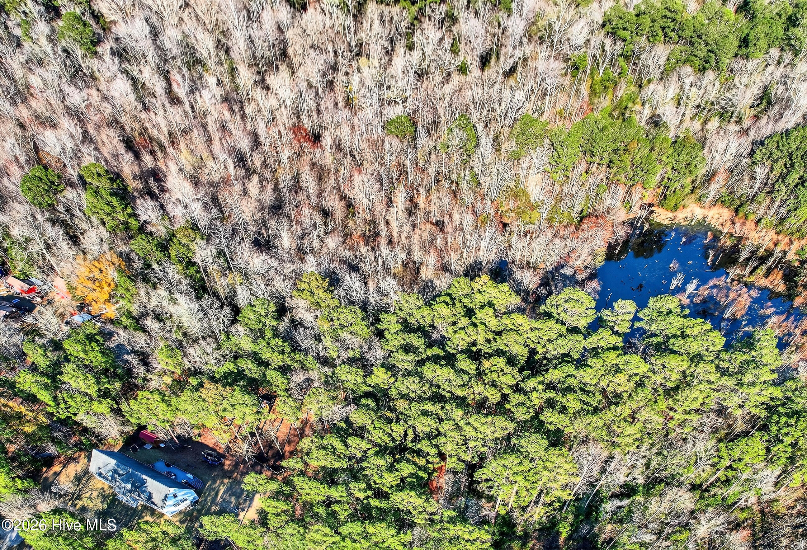 100559126 | Photo 40