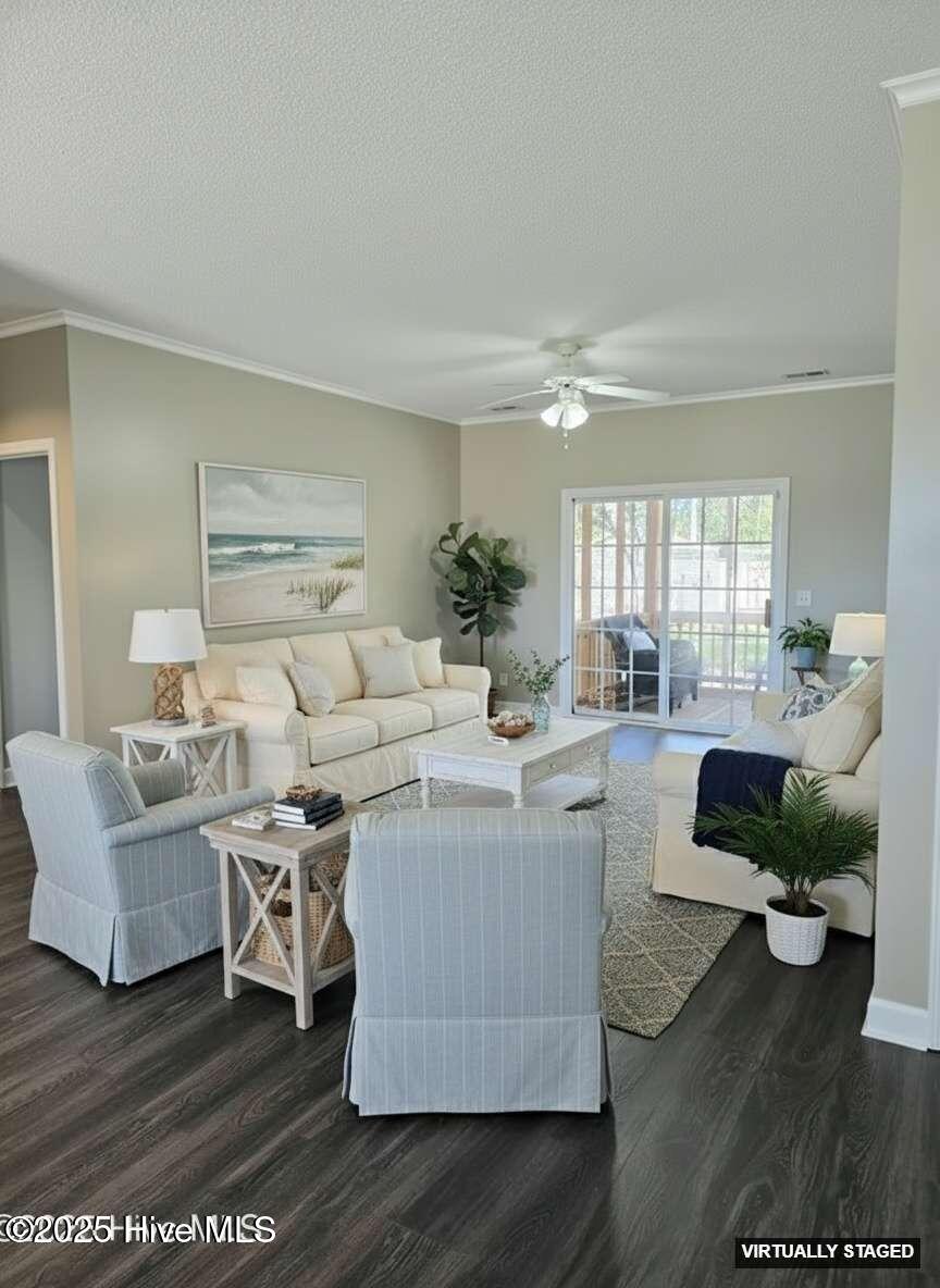 100509248 | Photo 12