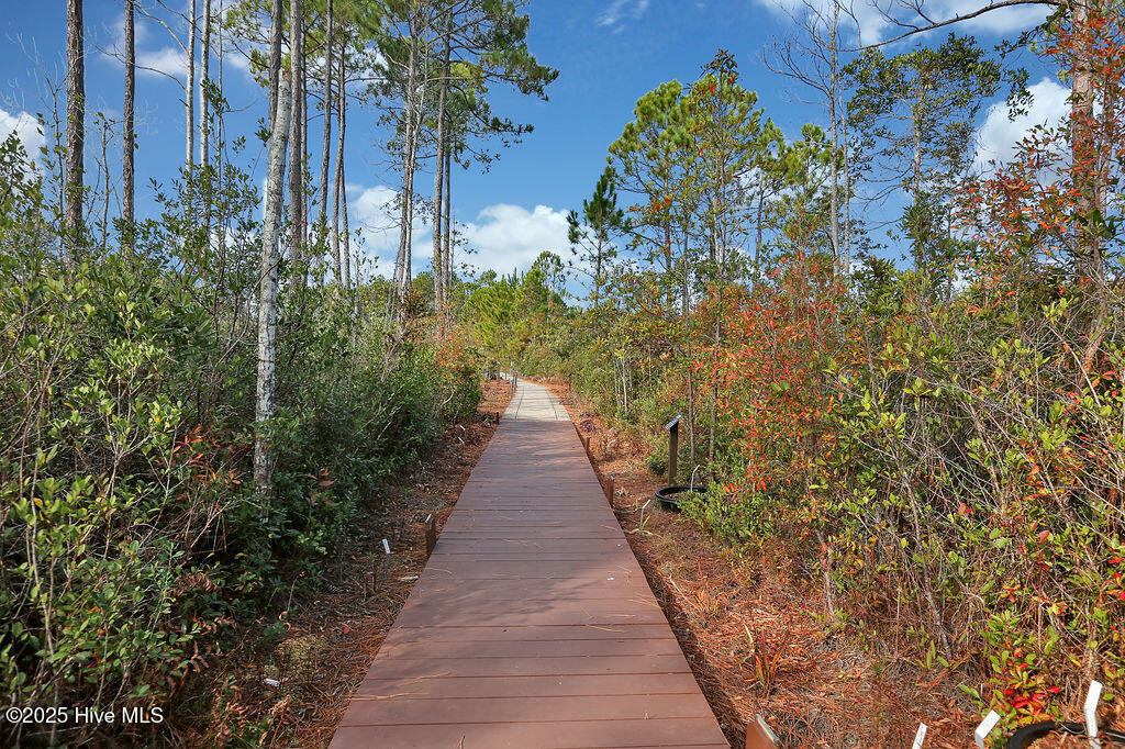 100554585 | Photo 123