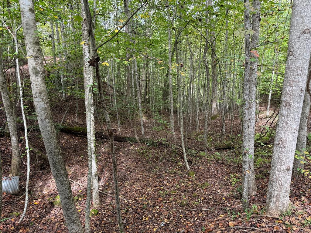 0 Reserve, Murphy, North Carolina, 0 ,For sale,Reserve,98539866 0 Reserve, Murphy, North Carolina, 0 ,For sale,Reserve,98539866