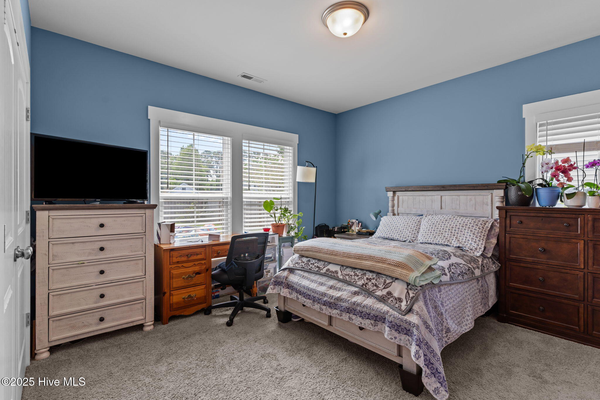 100528839 | Photo 22