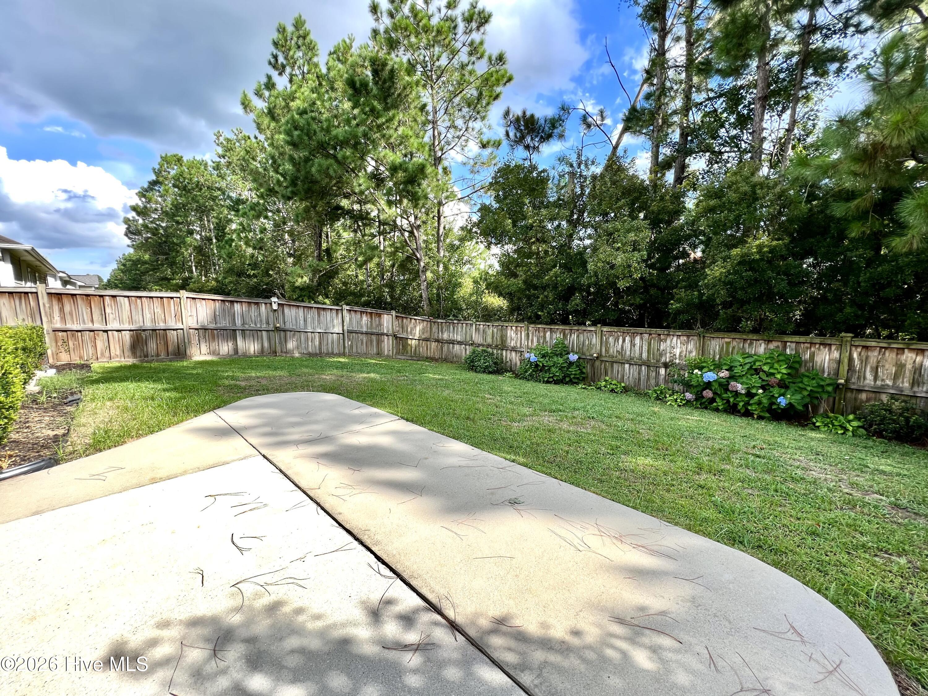 100565978 | Photo 19