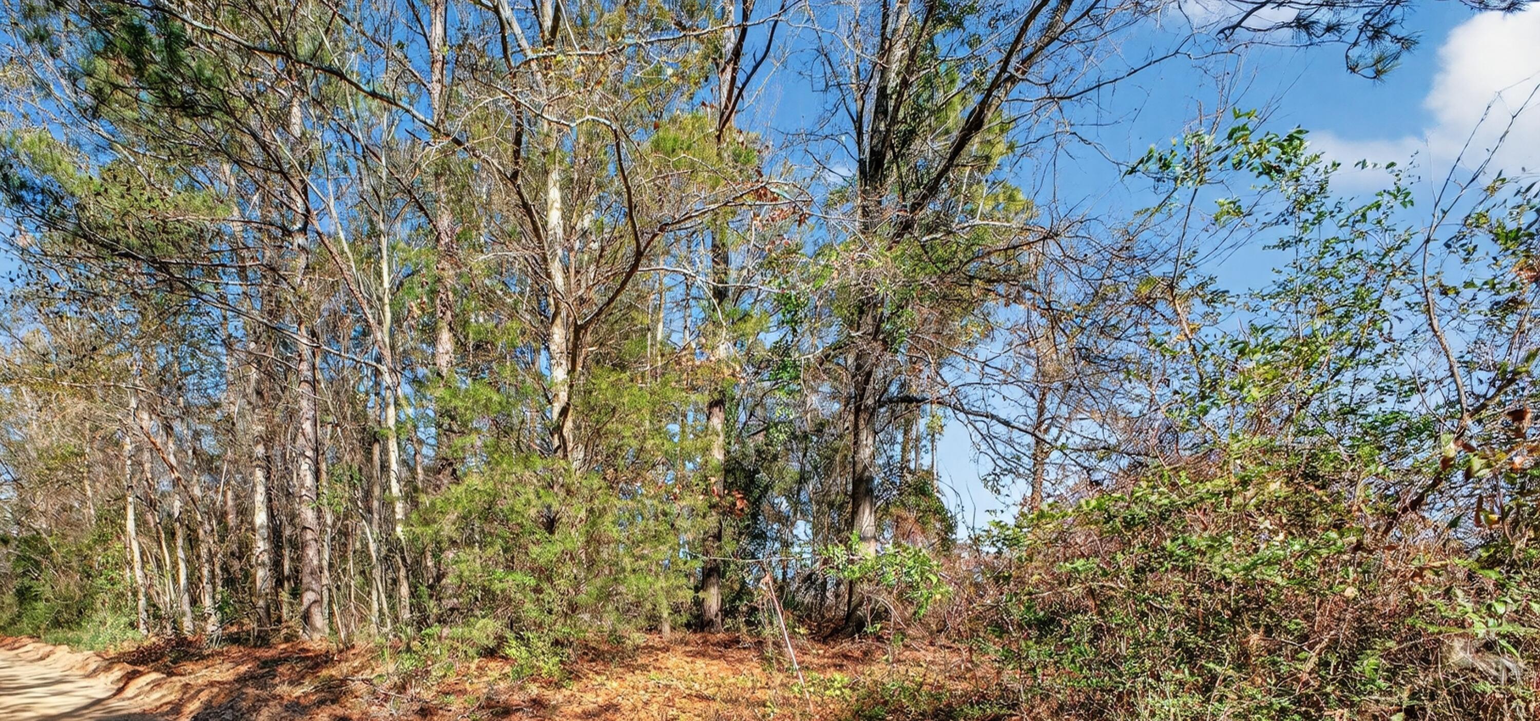 1908 Moore Road, Augusta, GA, 30906