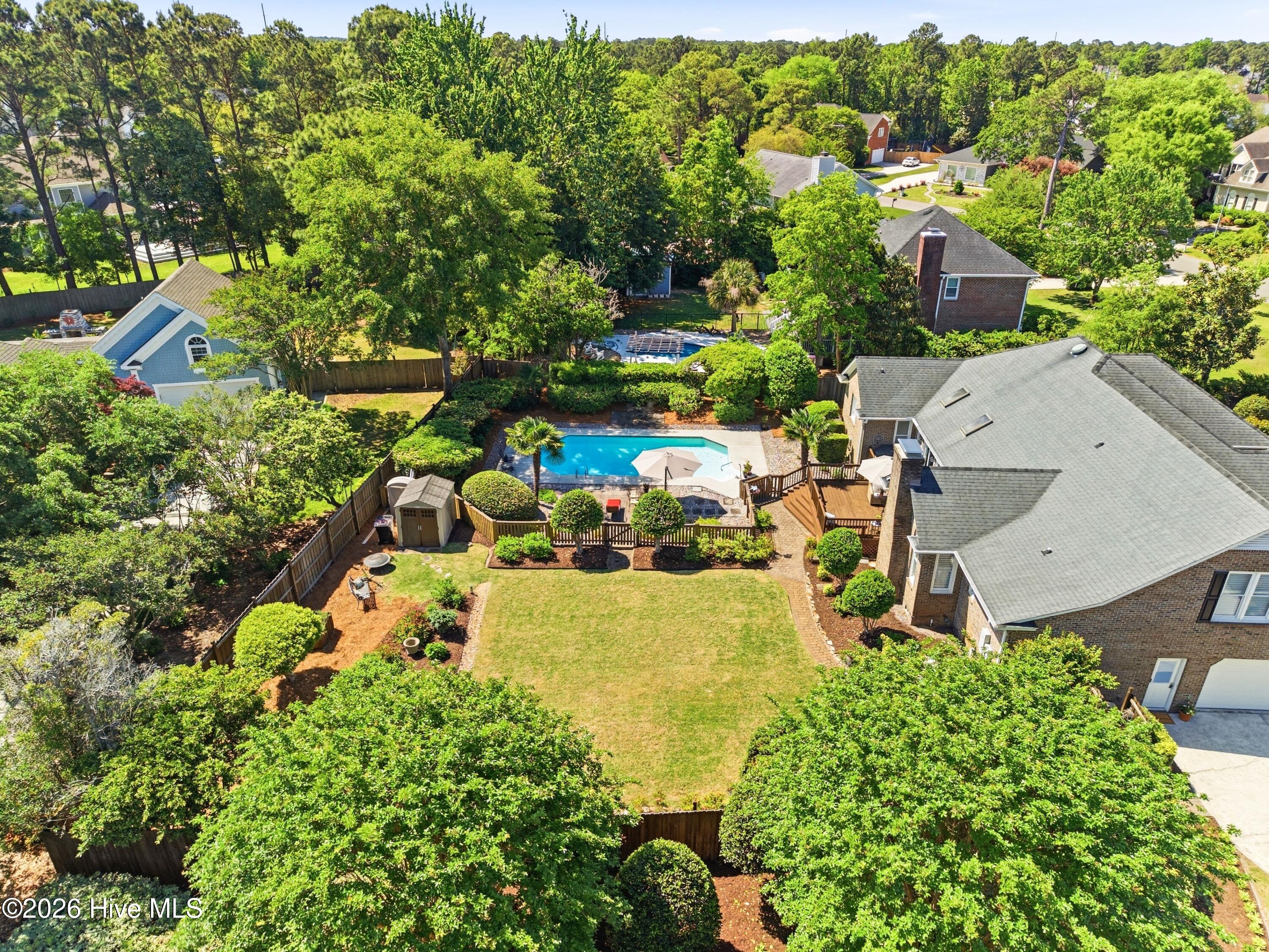 100568689 | Photo 50