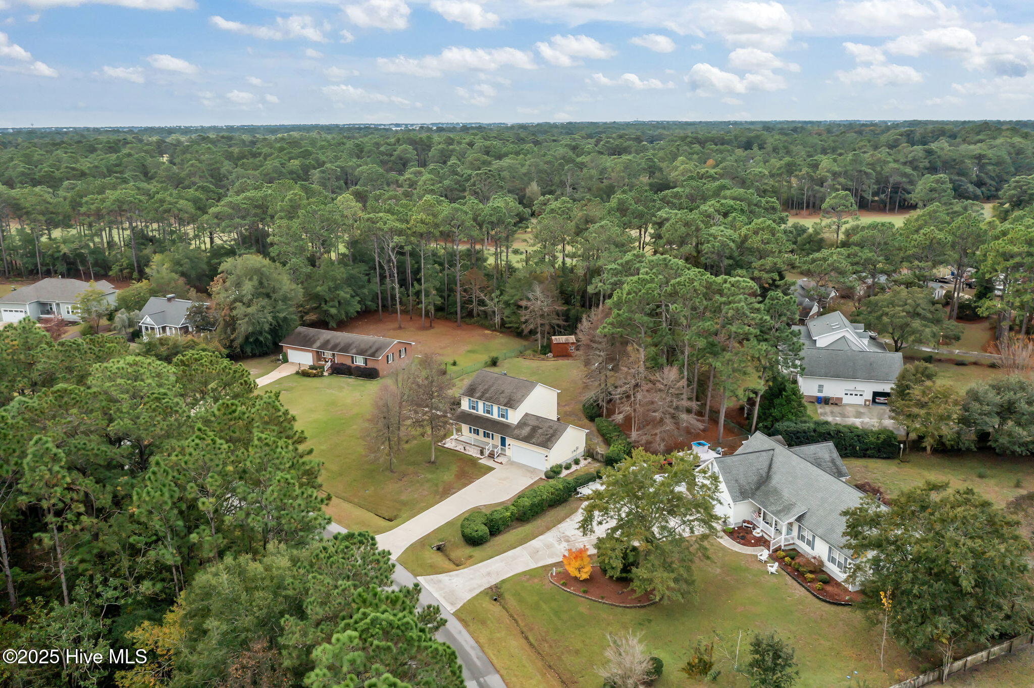 100539513 | Photo 39