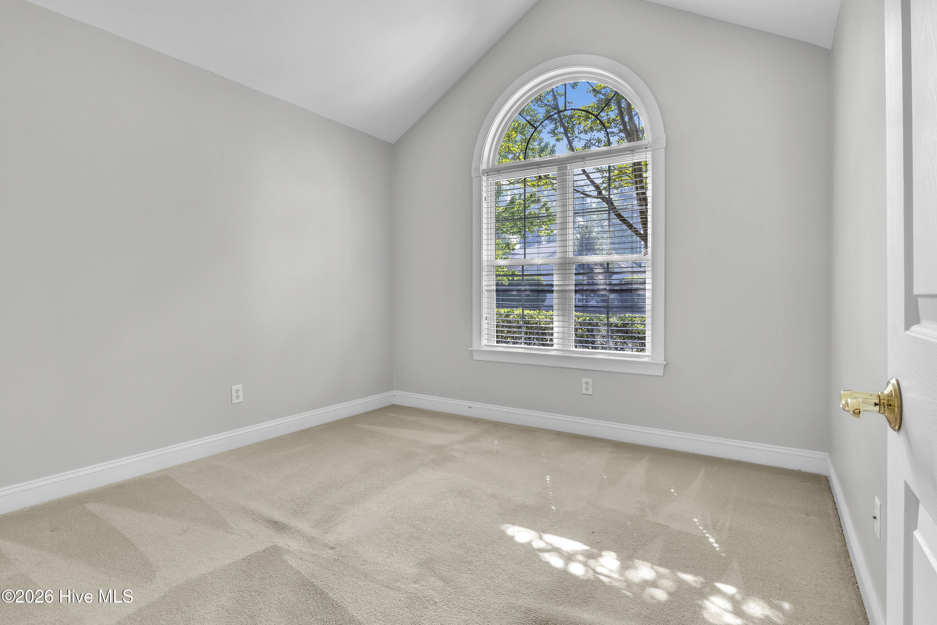 100567649 | Photo 33