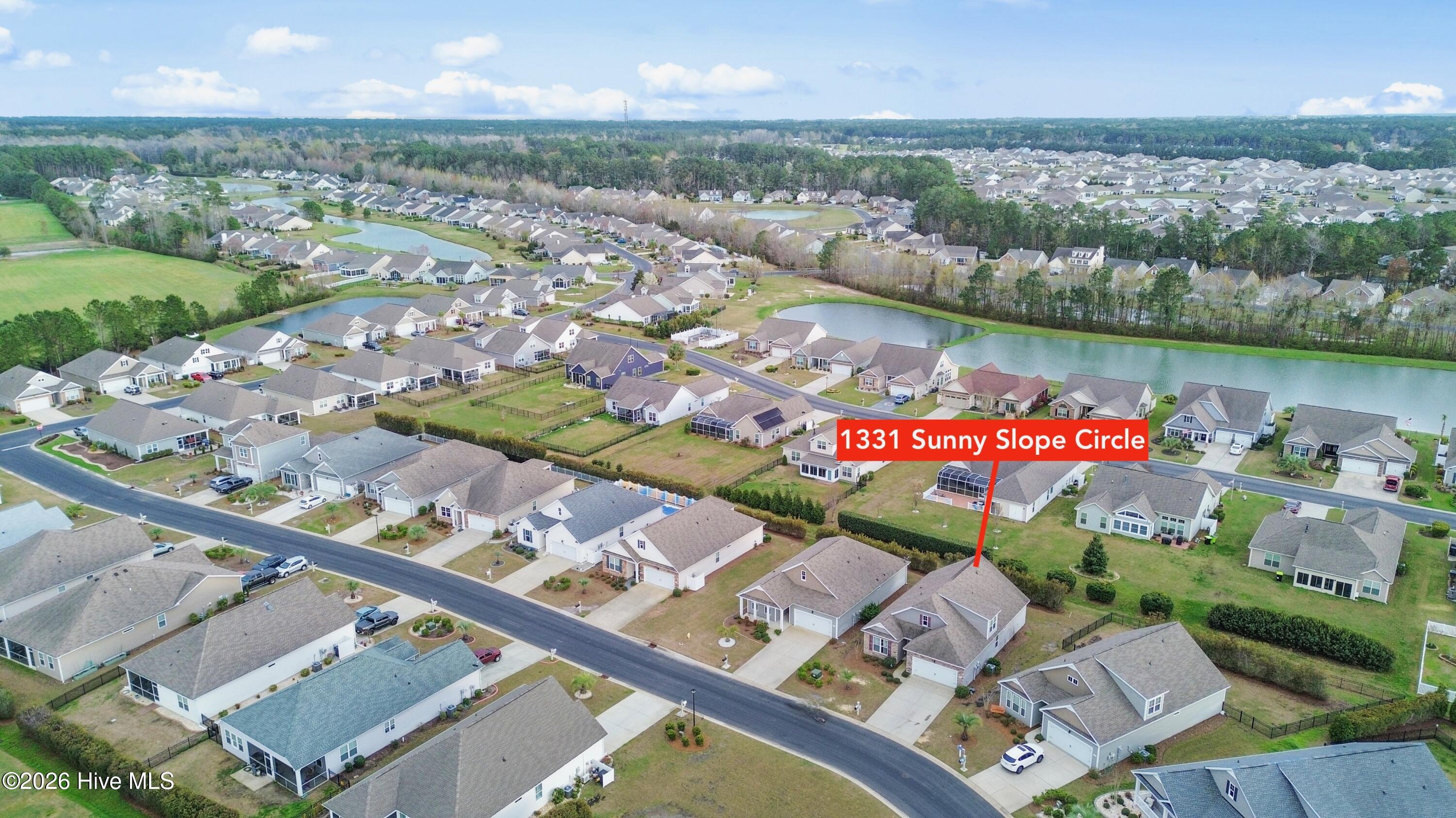 100560000 | Photo 28