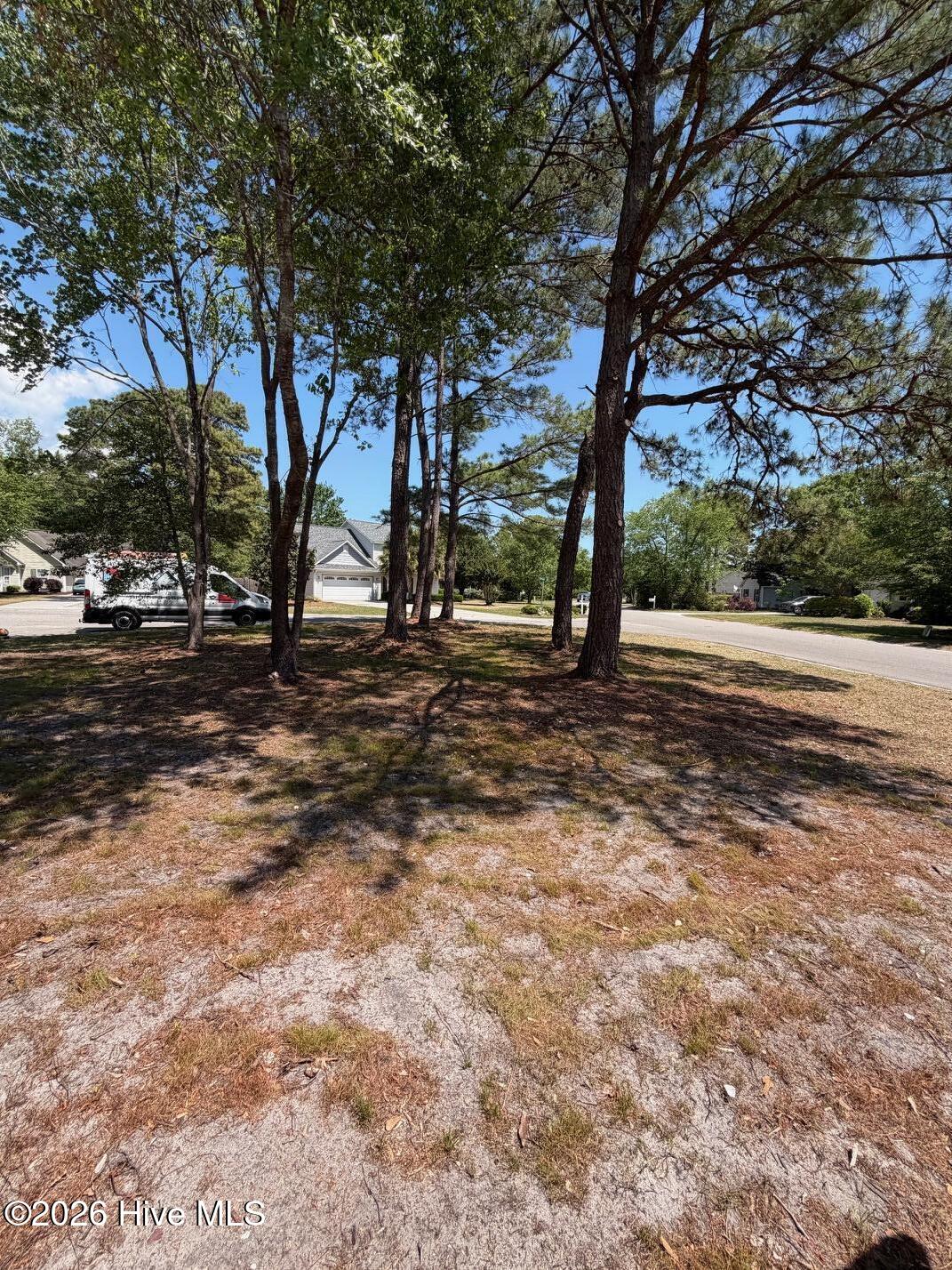 100568177 | Photo 17