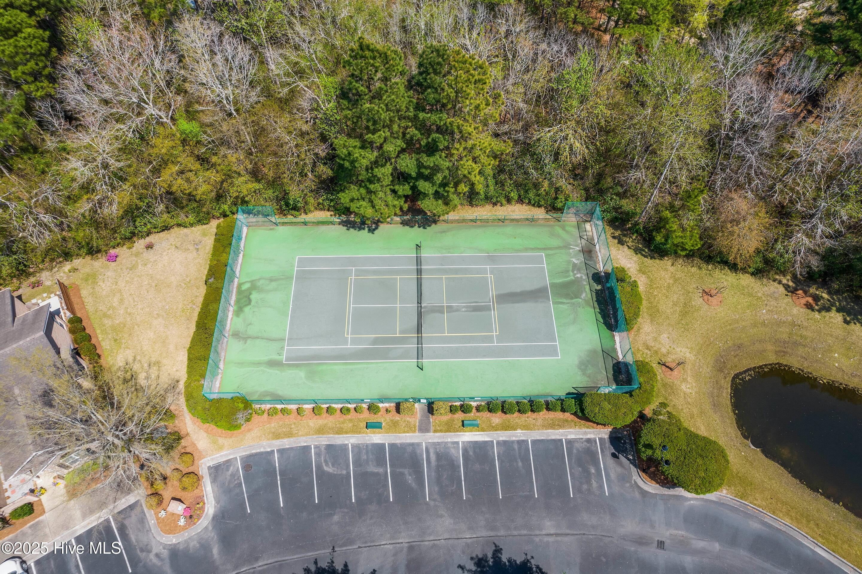 100534079 | Photo 36