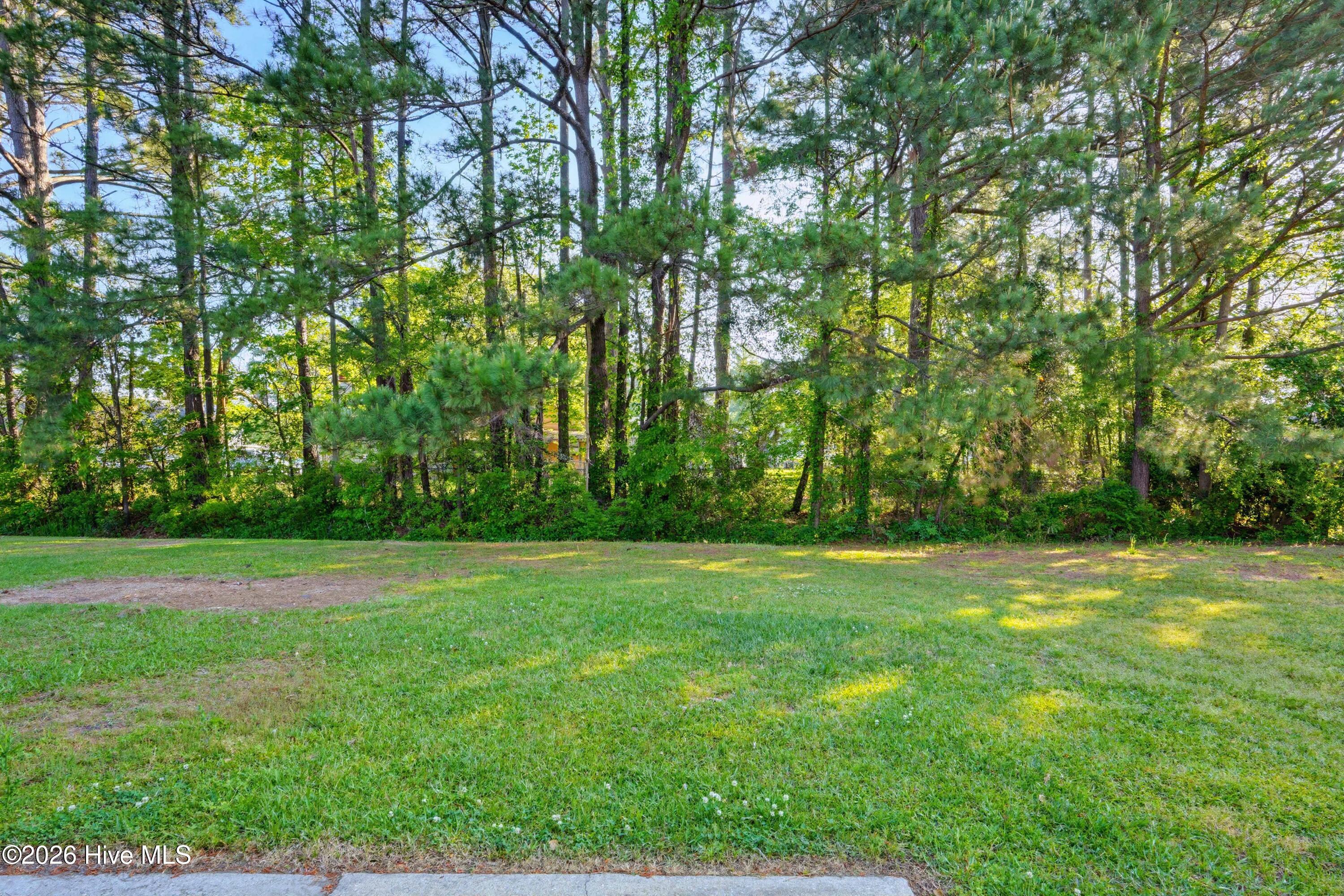 100567676 | Photo 14