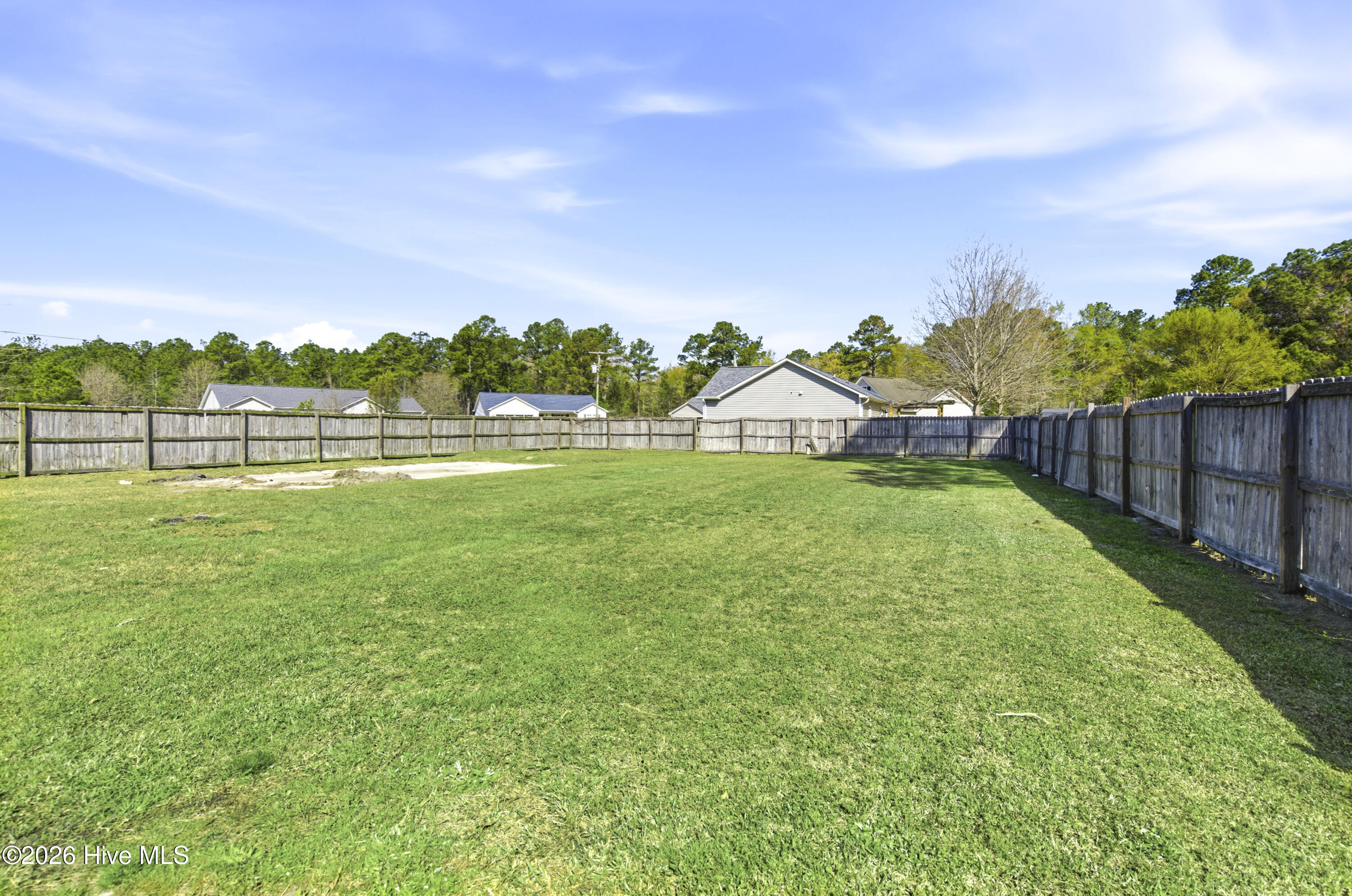 100564497 | Photo 29