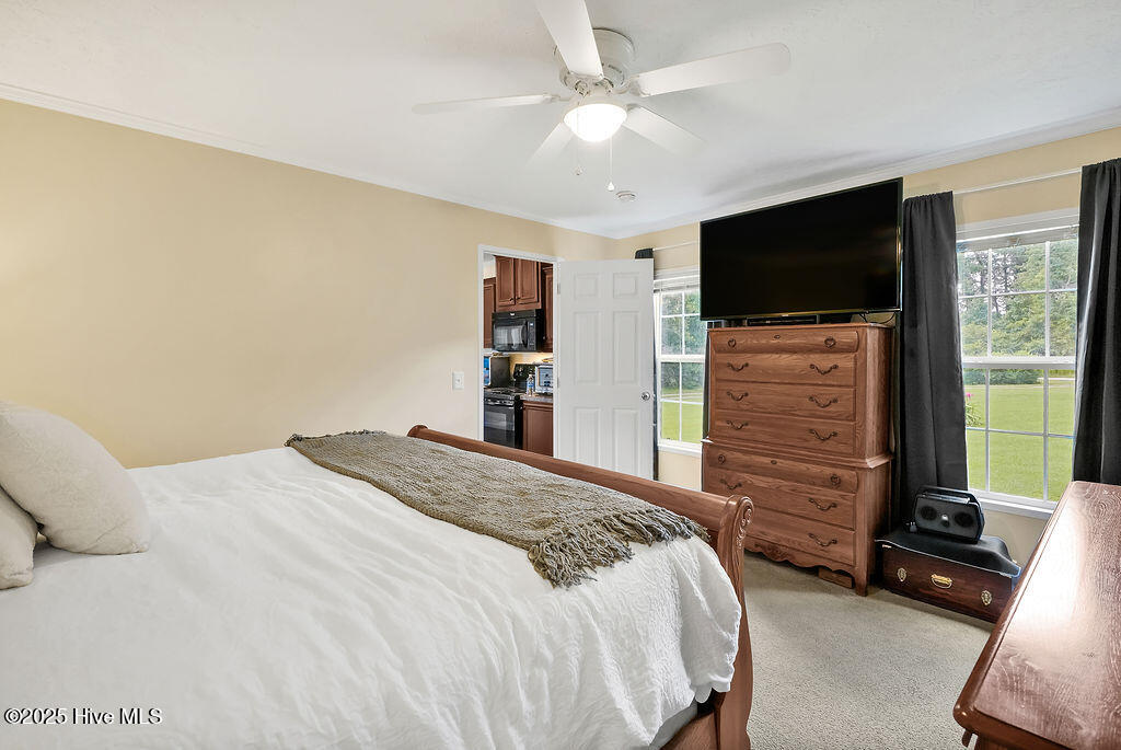 100521494 | Photo 40