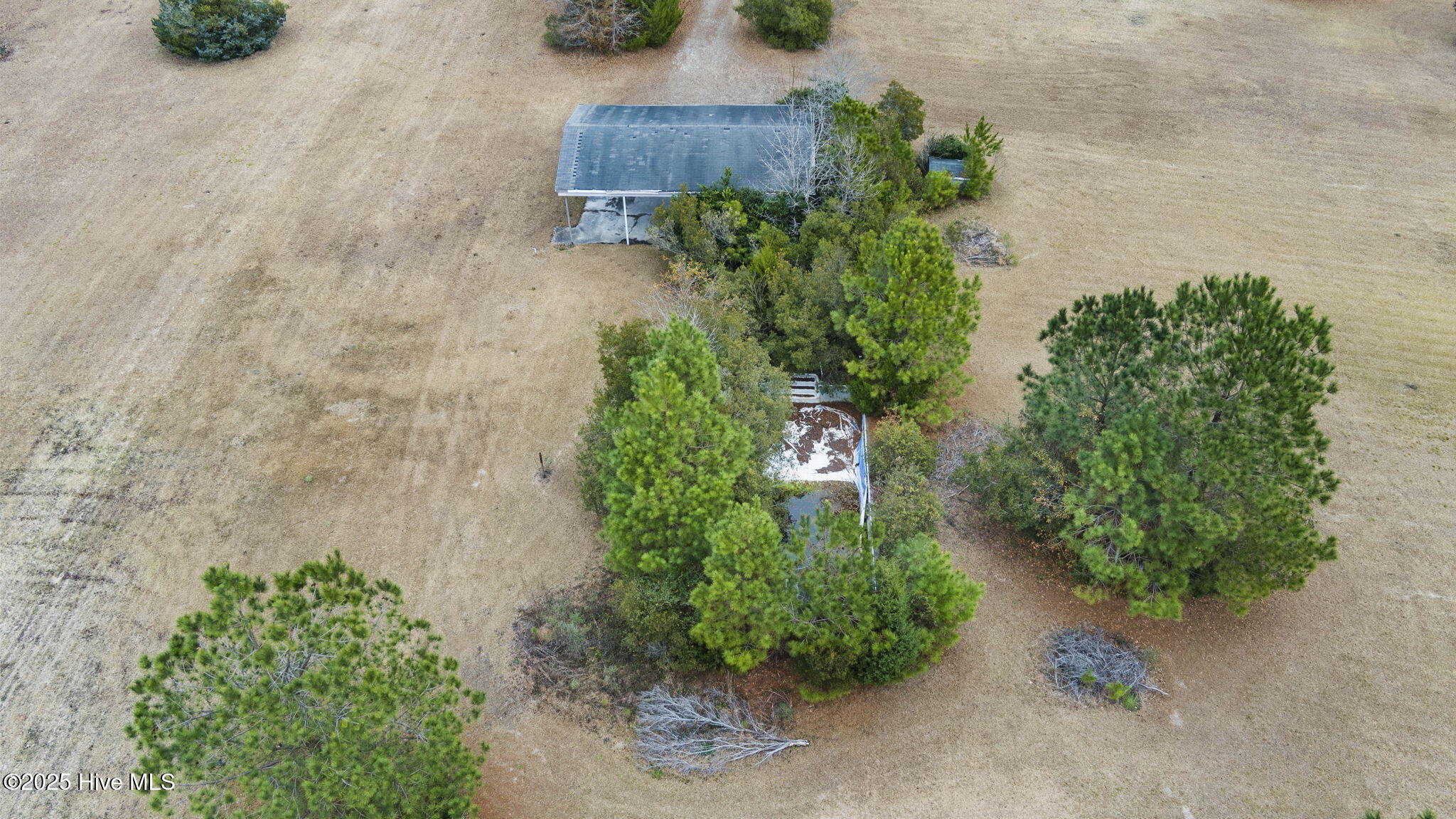 100546888 | Photo 18