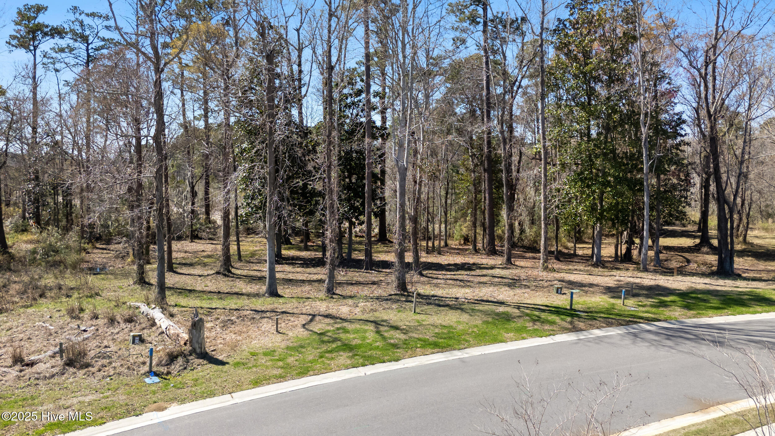 228 Preservation Point Avenue, Wilmington, NC, 28401