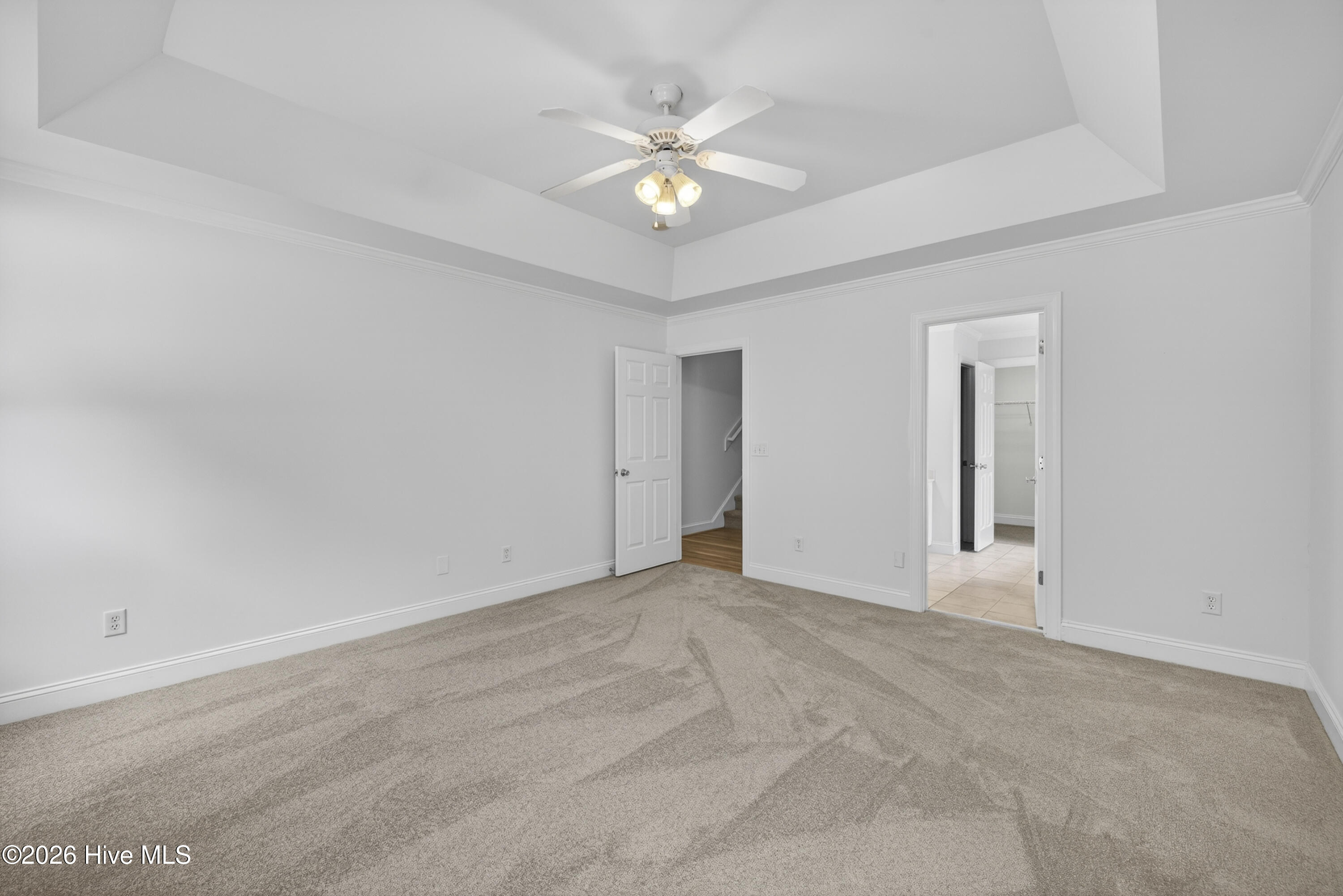 100563157 | Photo 16