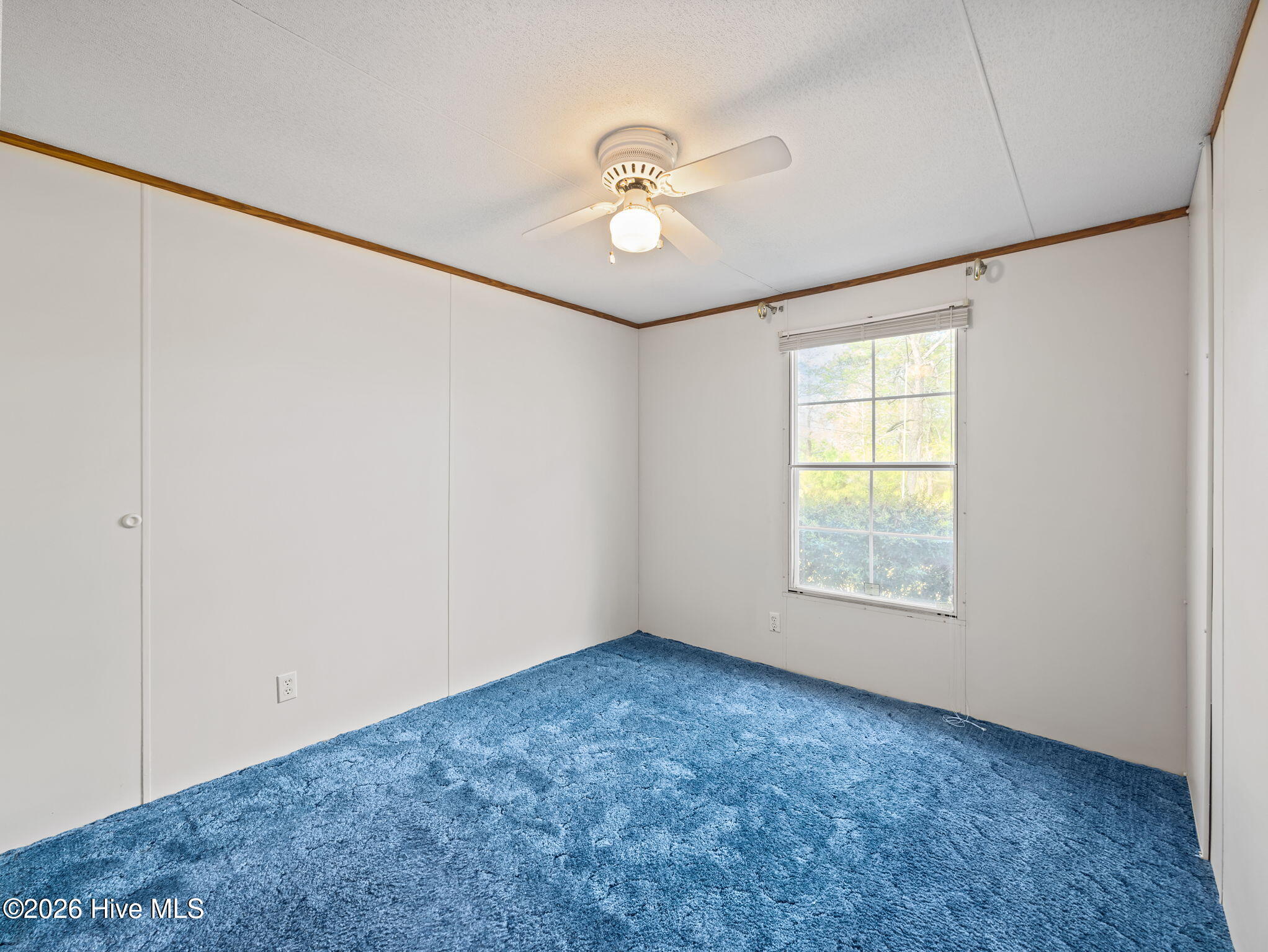 100565011 | Photo 30