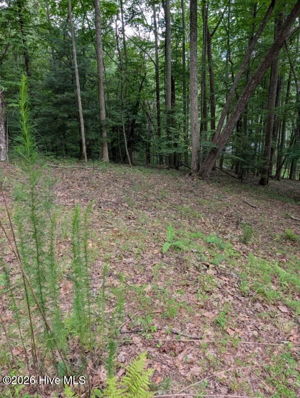 3rd image of 190 Valley Crest Dr, Blairsville, GA 30512 | MLS# 100590267