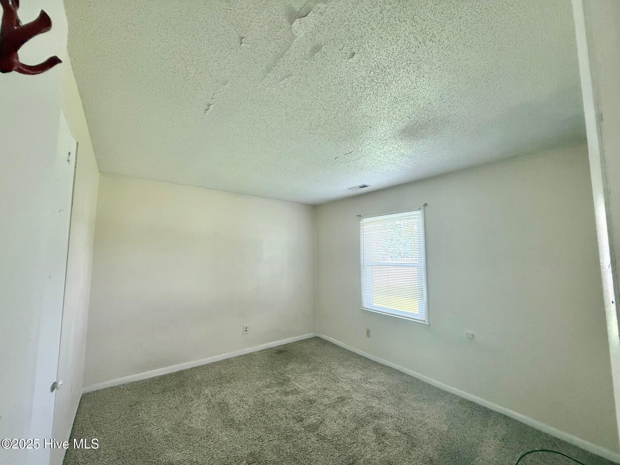 100523285 | Photo 11