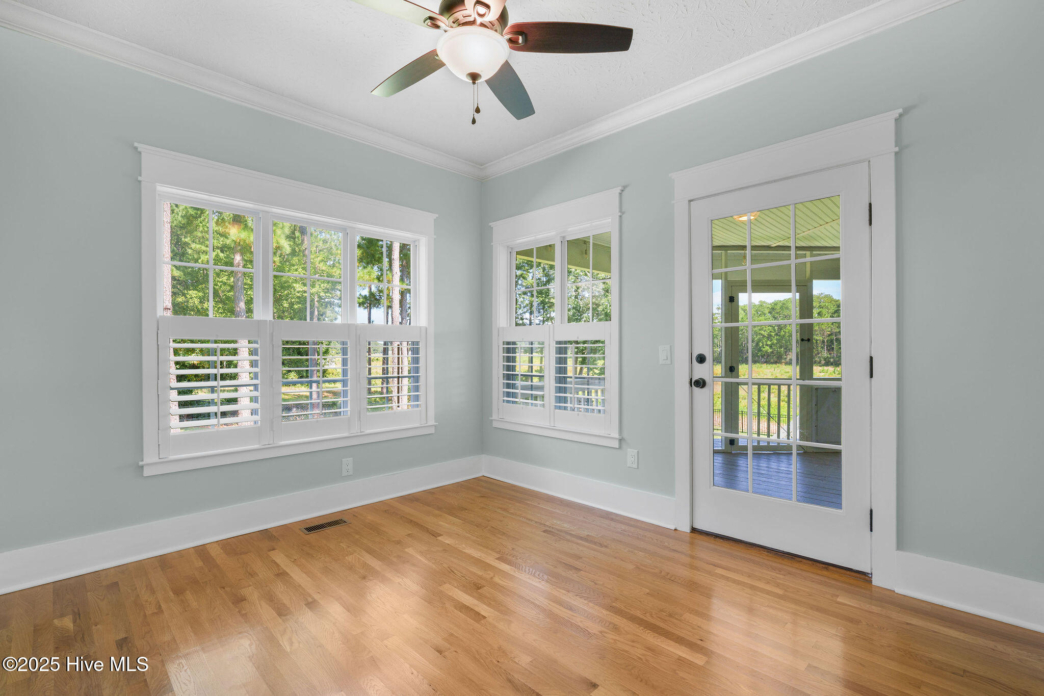 100526729 | Photo 44