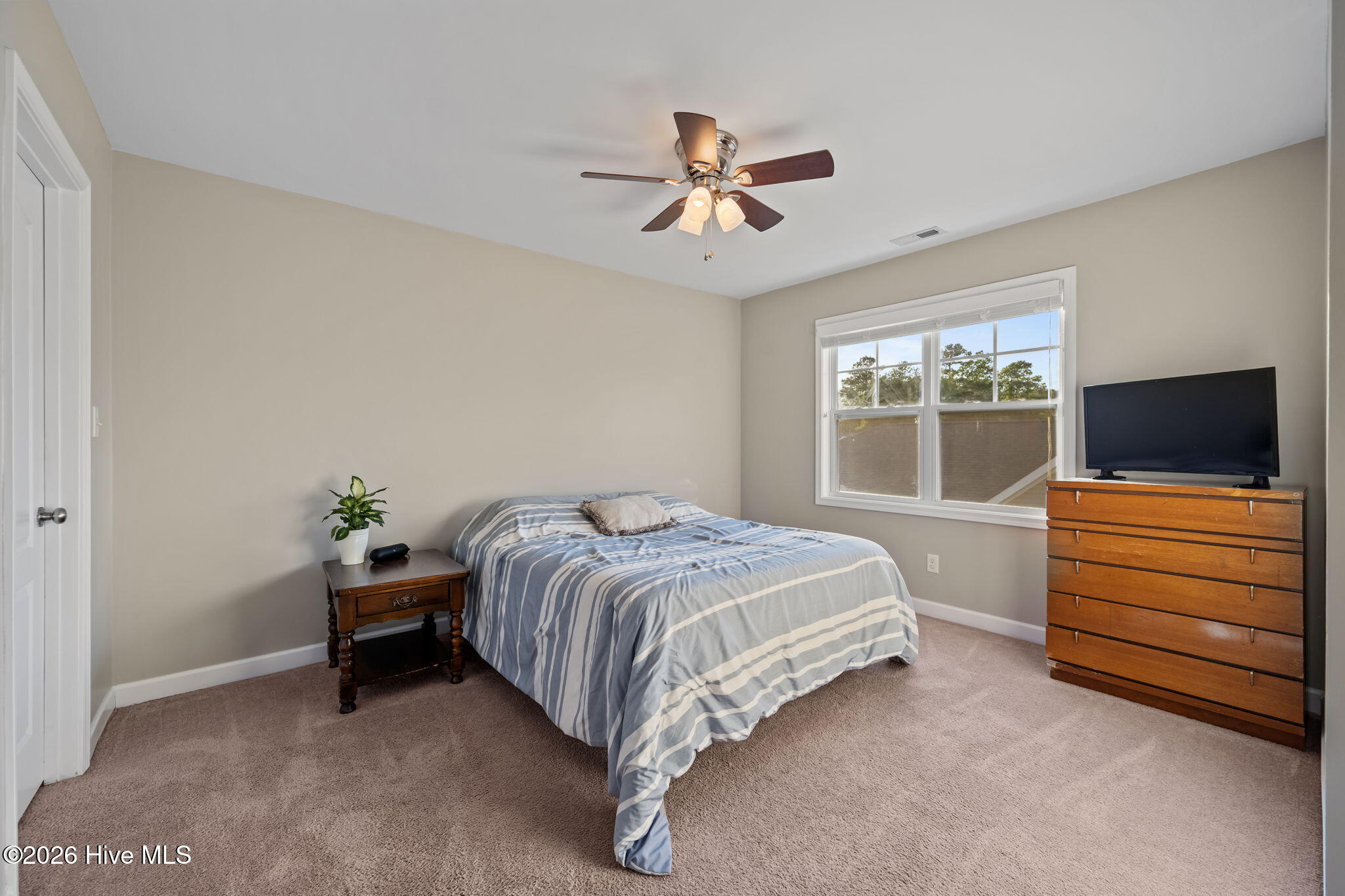 100568567 | Photo 29