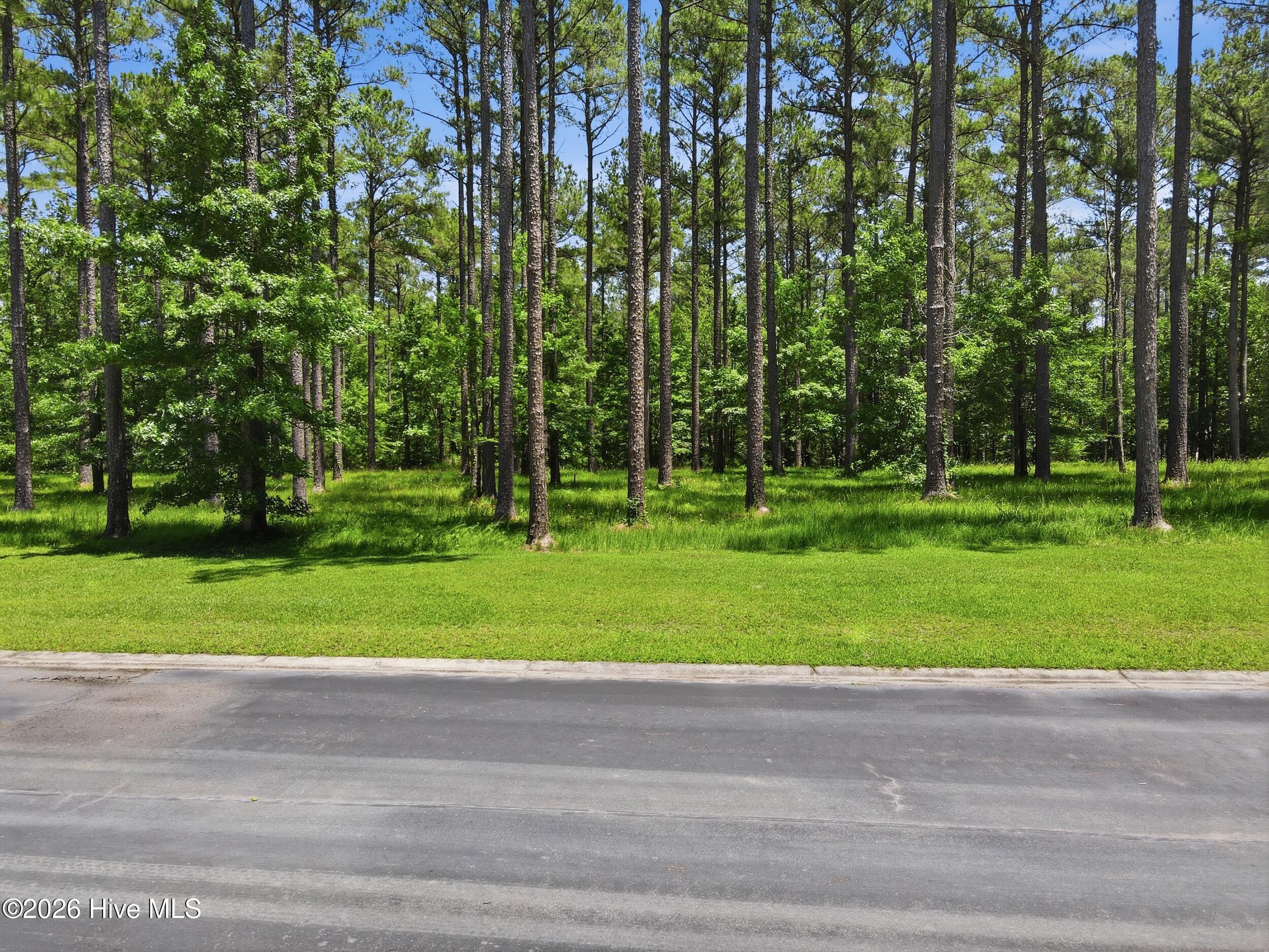130 Ocracoke Drive,Oriental