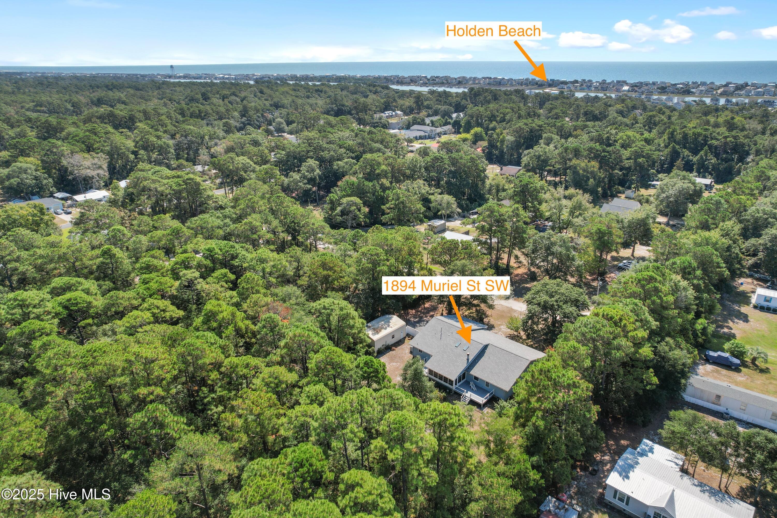 100533822 | Photo 53