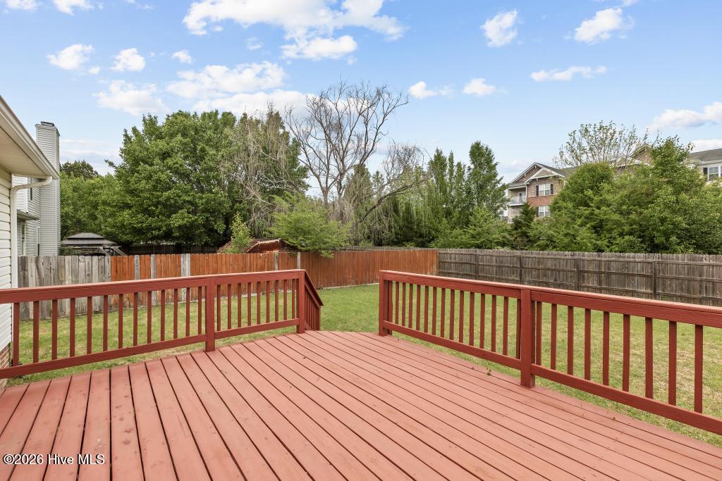 100567126 | Photo 25