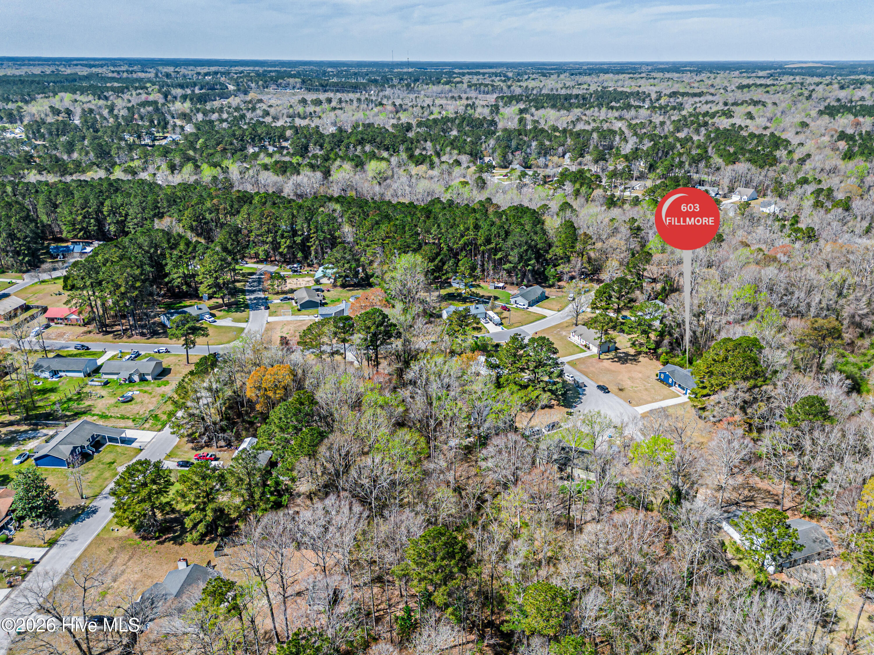 100564633 | Photo 81