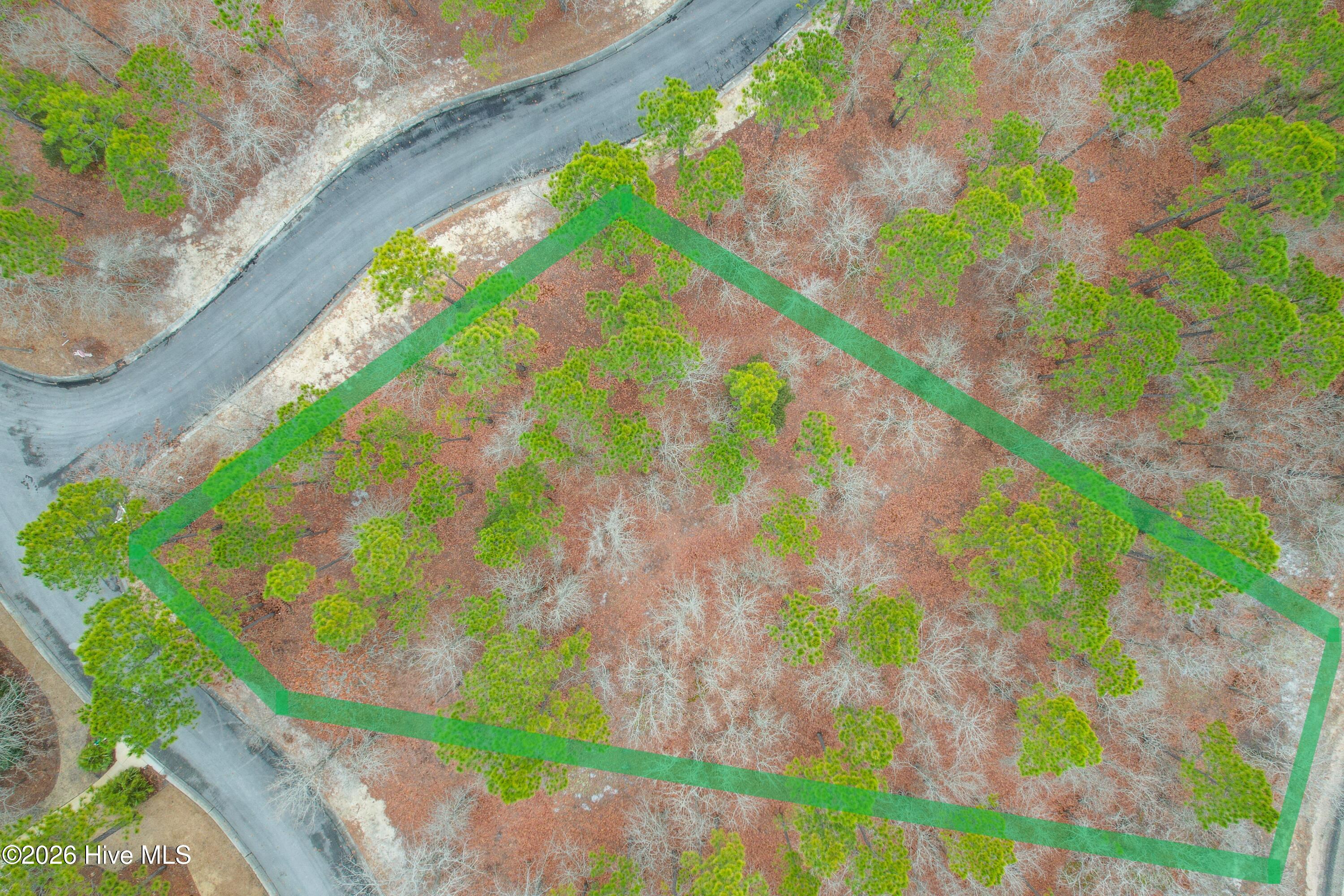 100556097 | Photo 13