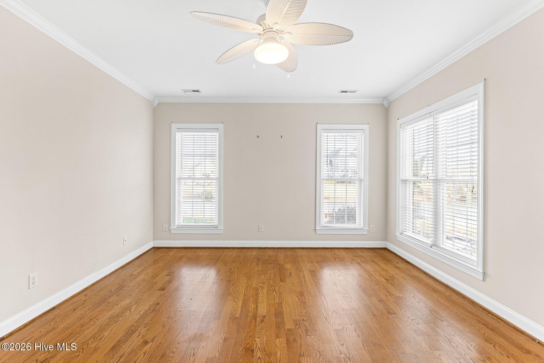 100547238 | Photo 13