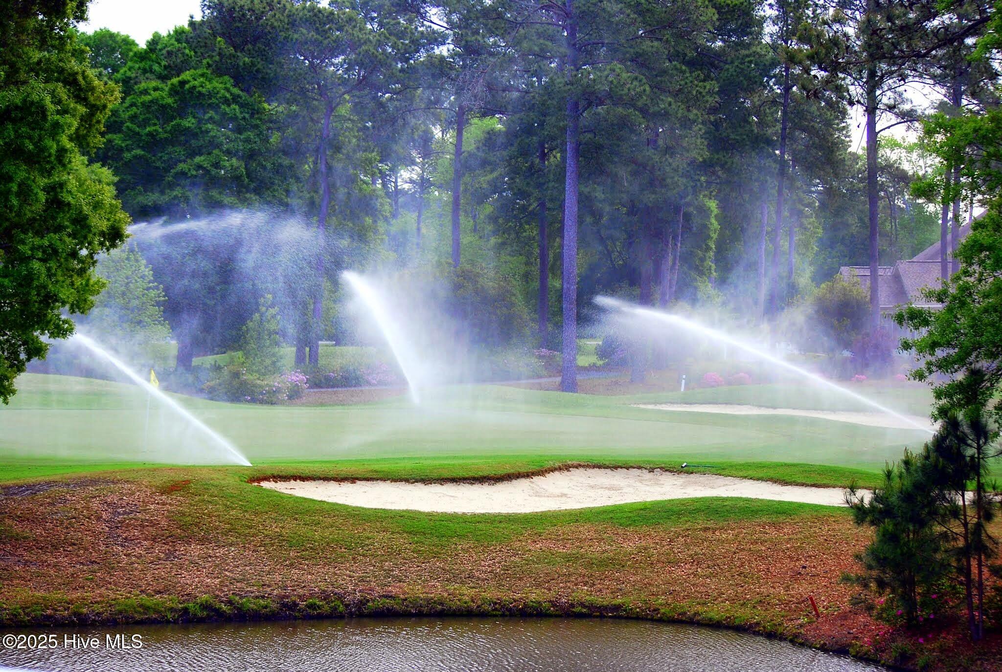 100496126 | Photo 65