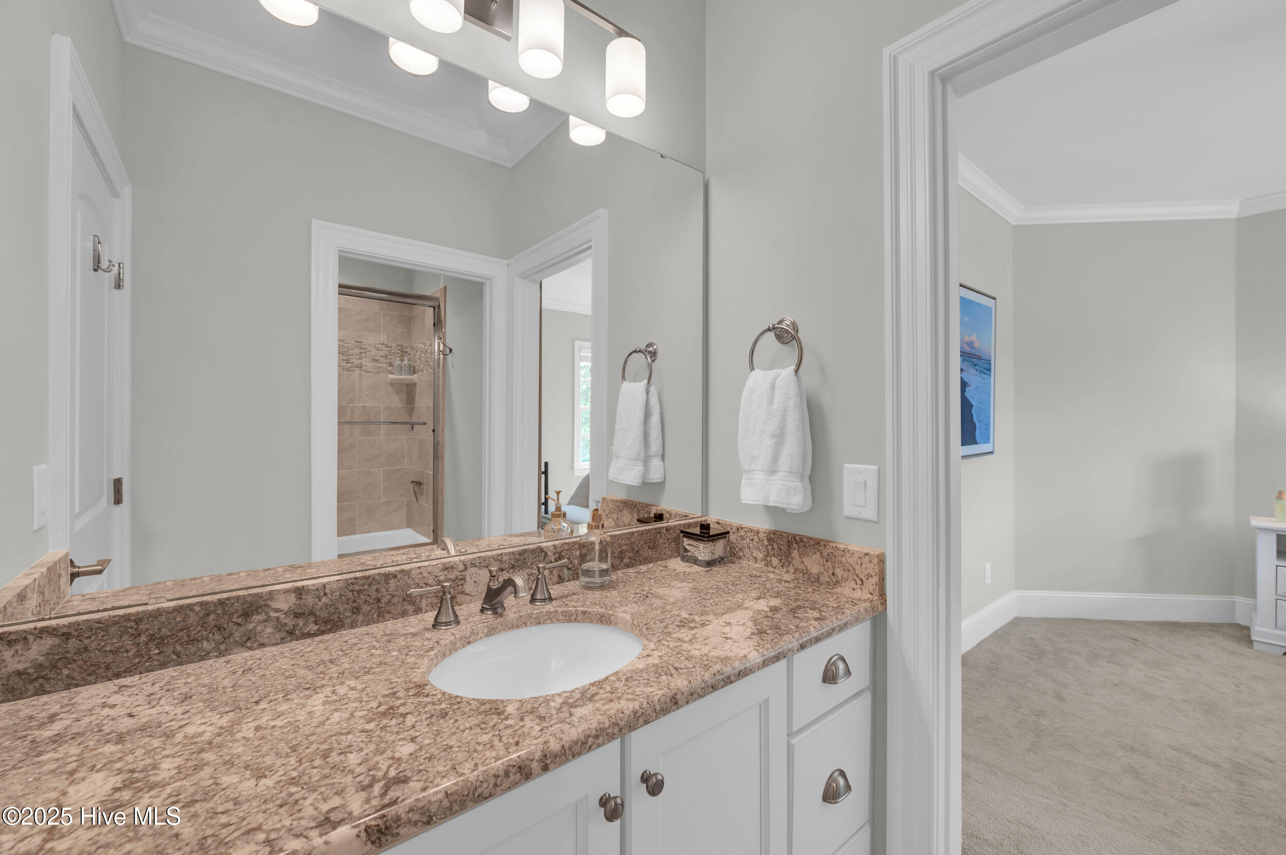 100536582 | Photo 30