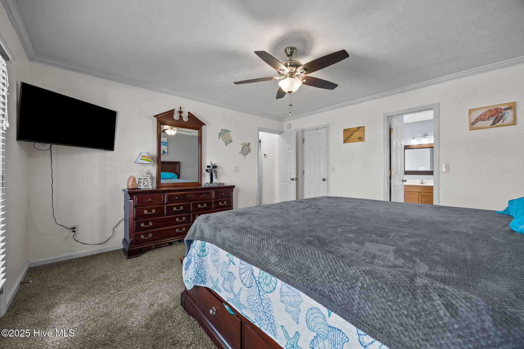 100538384 | Photo 17