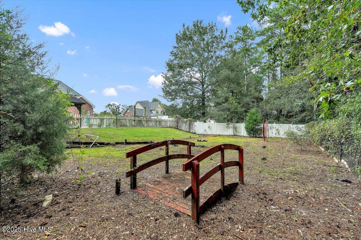 100534566 | Photo 99