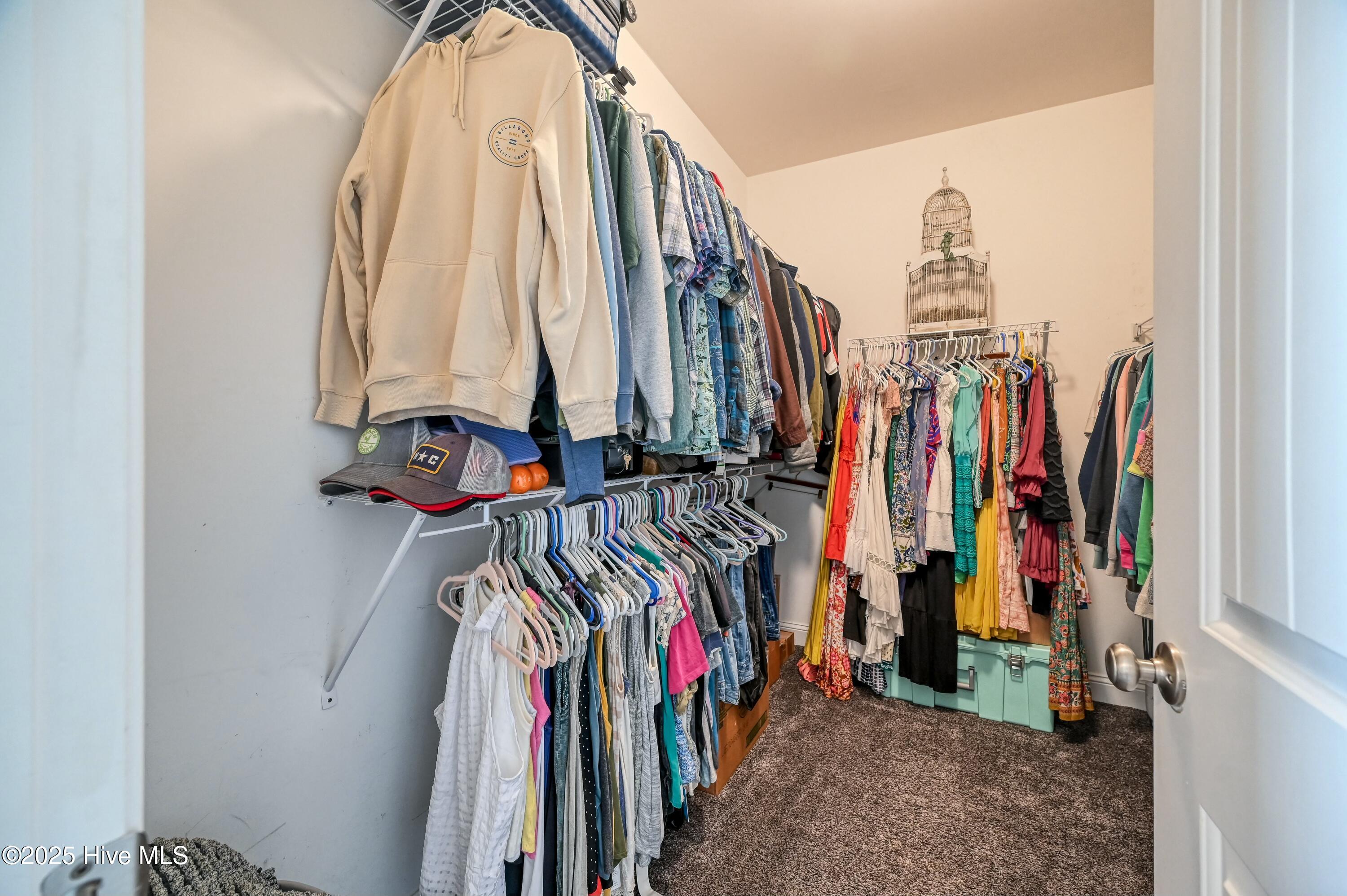 100561132 | Photo 24